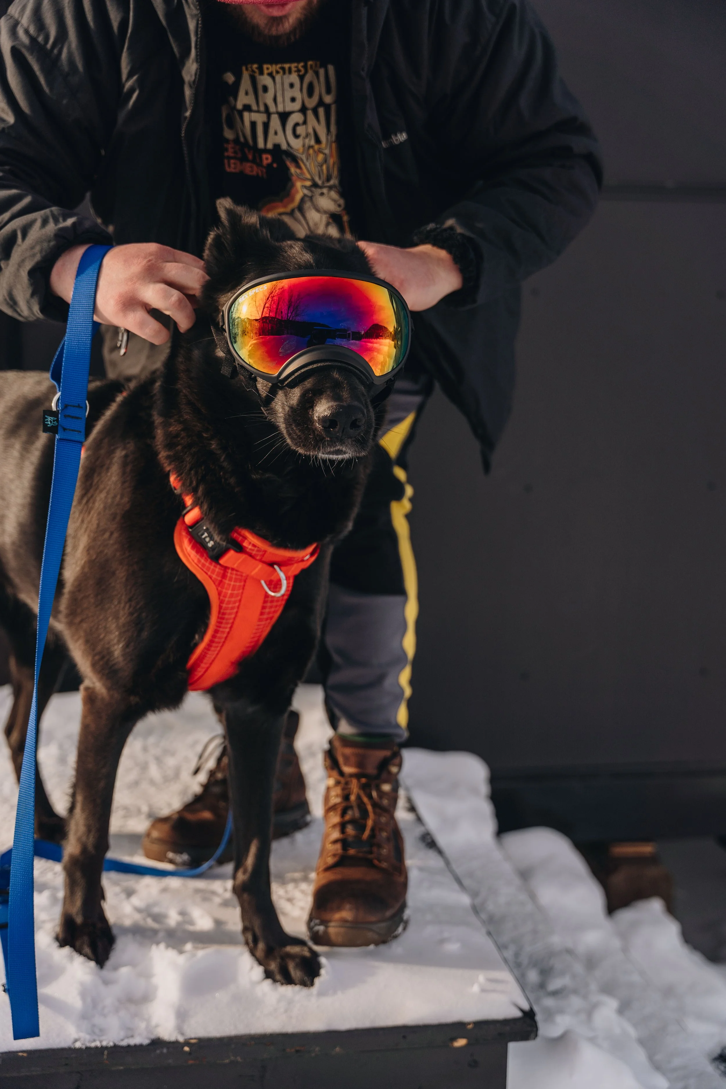 CoolBox_MontEdouard 87.jpg