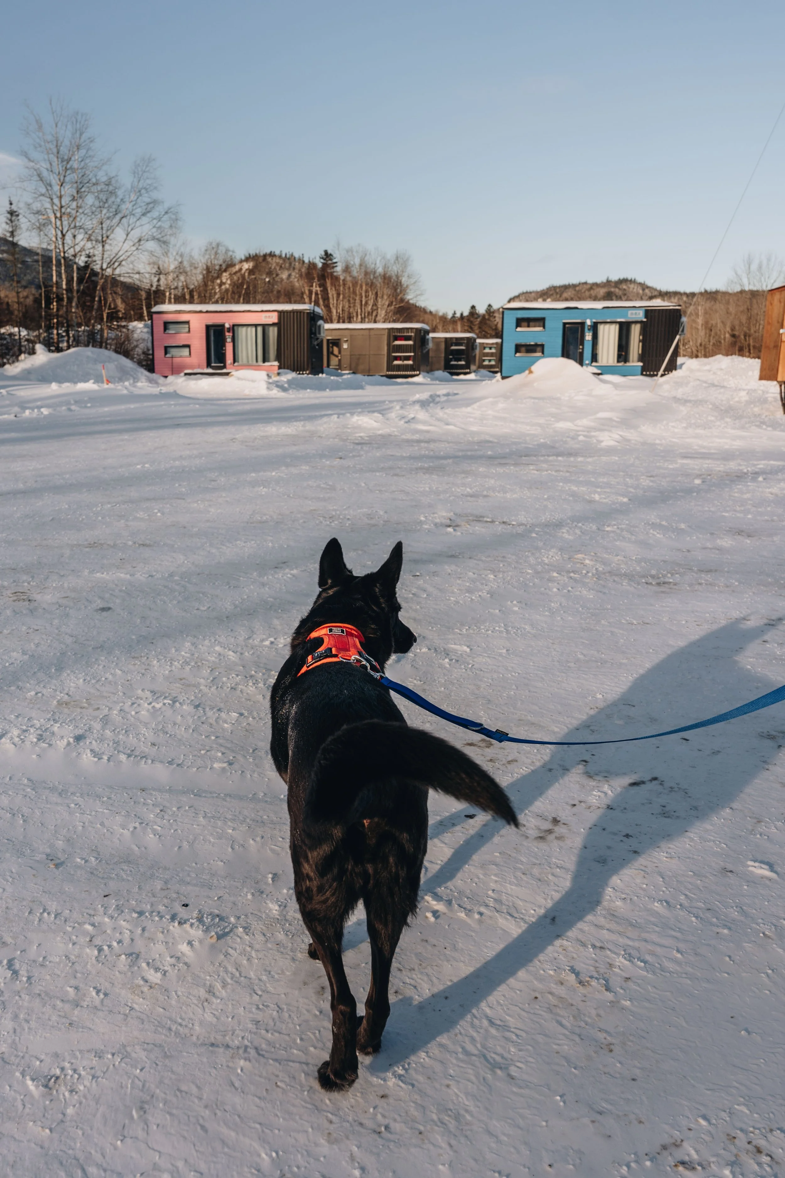 CoolBox_MontEdouard 67.jpg