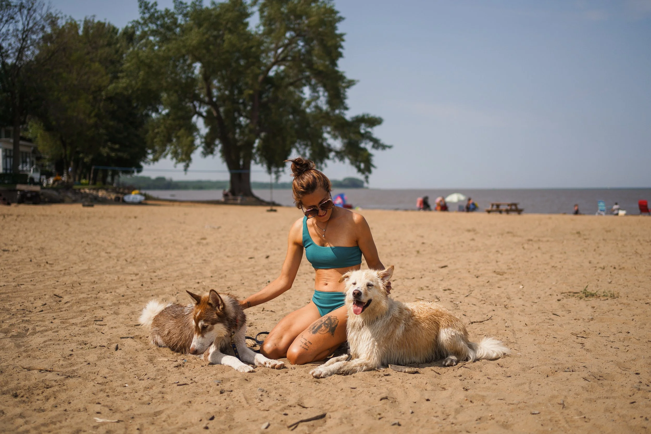 [Centre-du-Québec, Nicolet] Quai pointe aux Sables