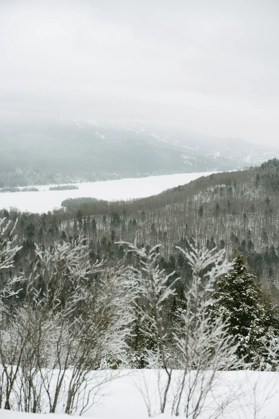 Montagne verte-26.jpg