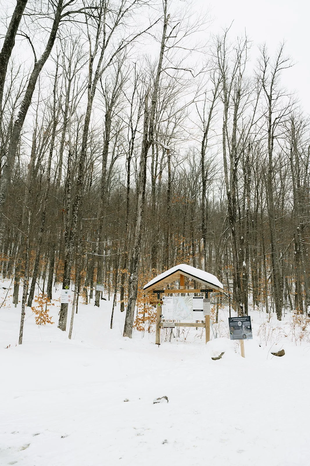 Montagne verte-2.jpg