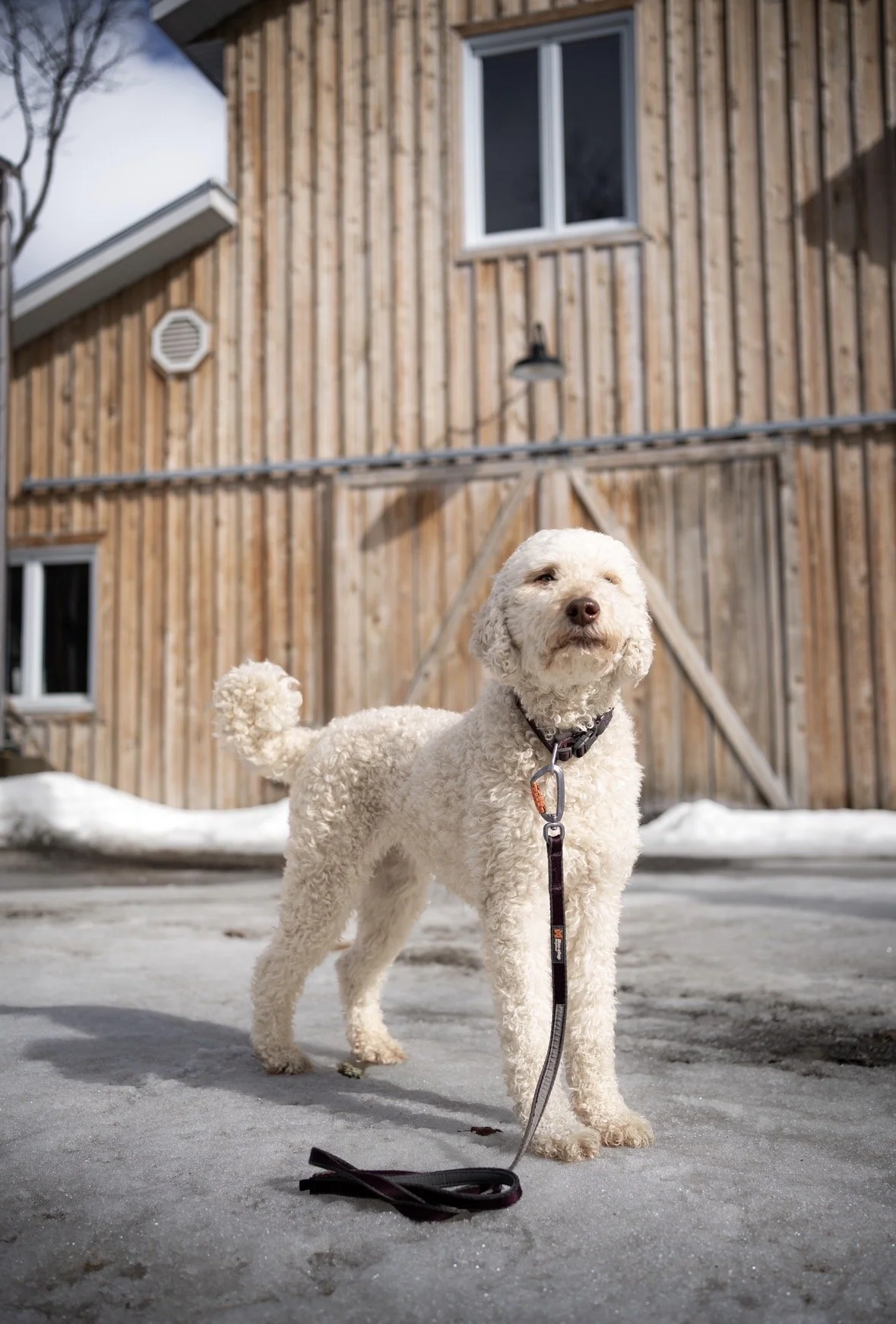 [Mauricie, Notre-Dame-du-Mont-Carmel] L’Érabrière - Artisan Acéricole