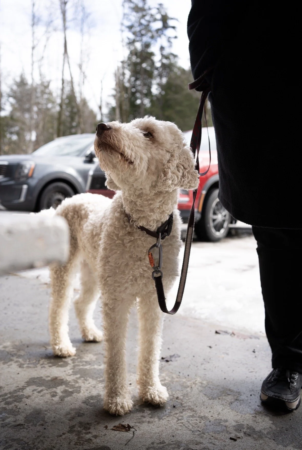 onvasepromener artisan erabriere11.jpeg