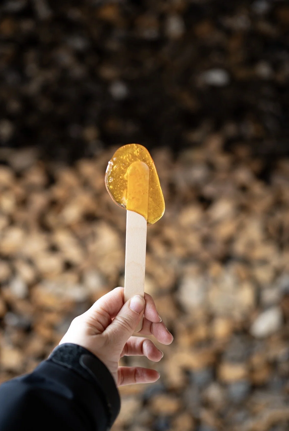 onvasepromener artisan erabriere13.jpeg