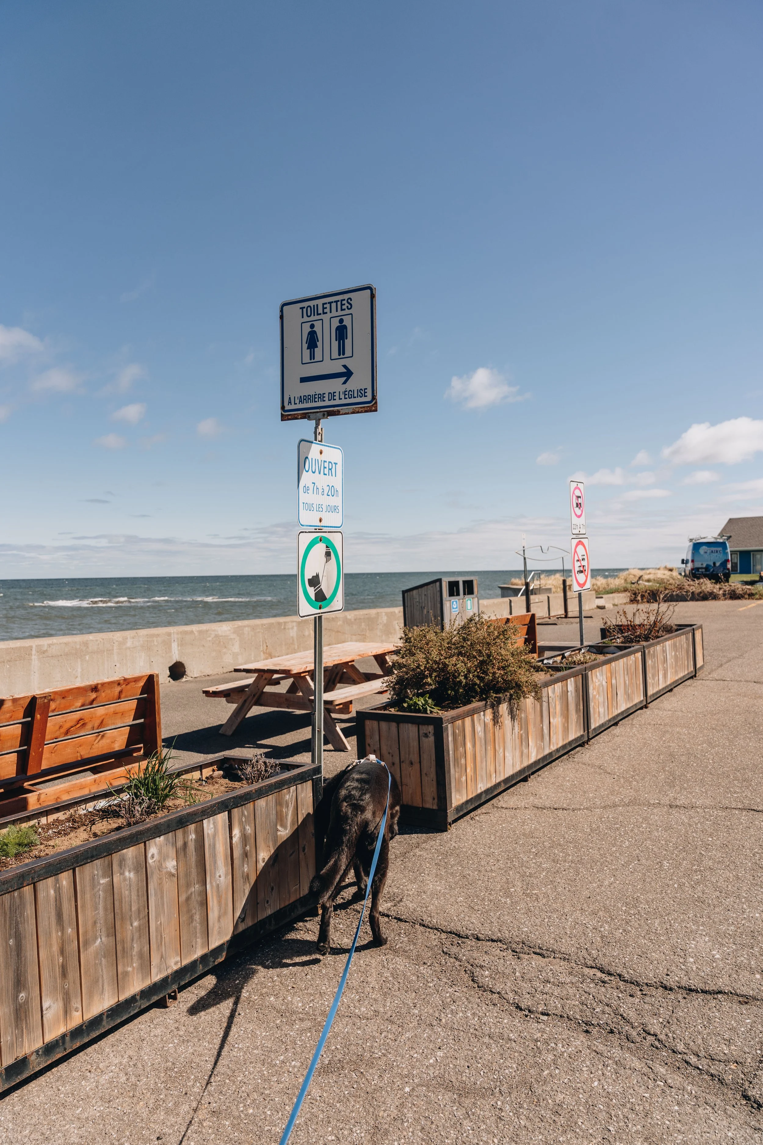 7halte église bas saint-laurent chien plage .jpg