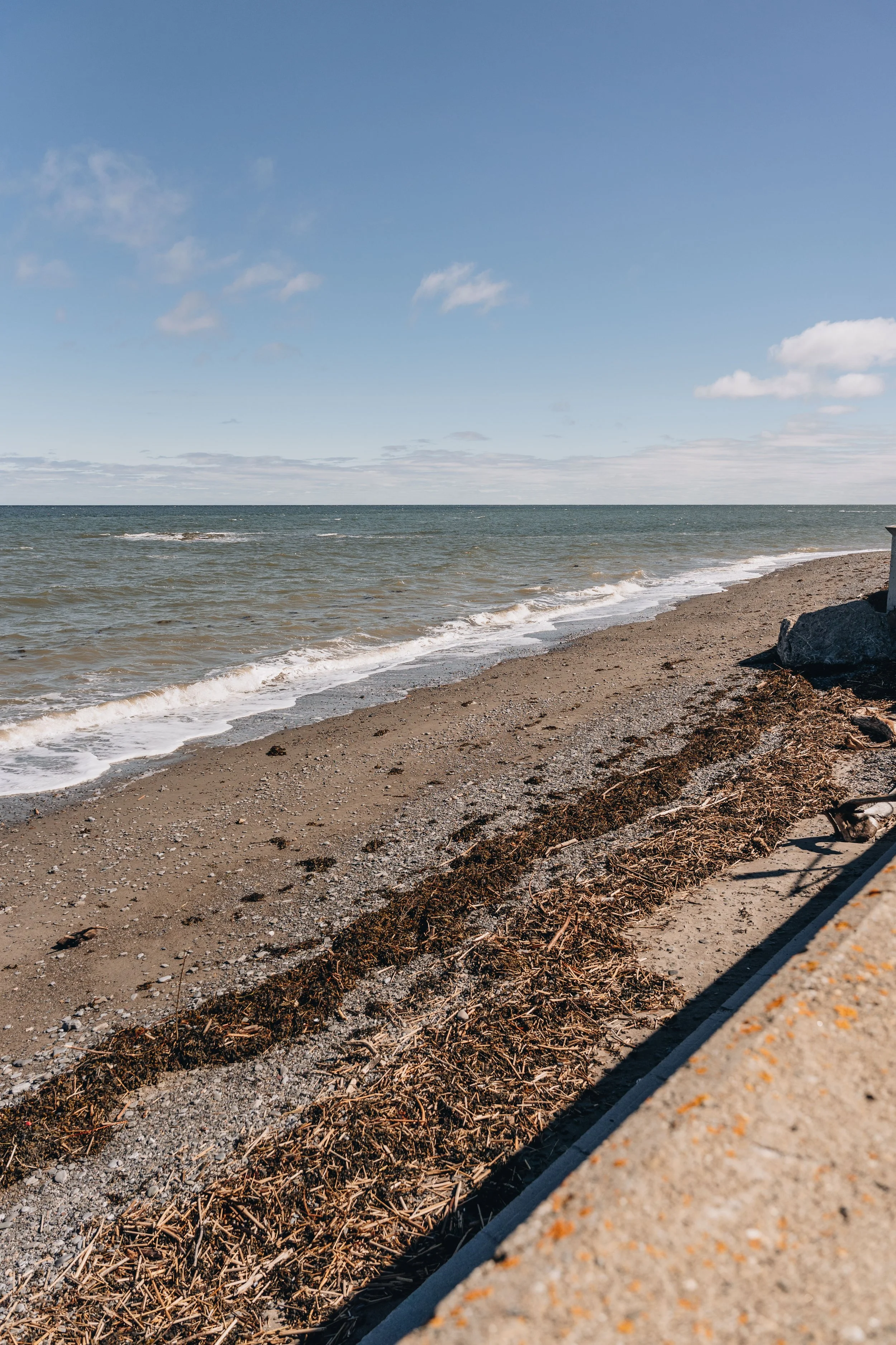 3halte église bas saint-laurent chien plage .jpg