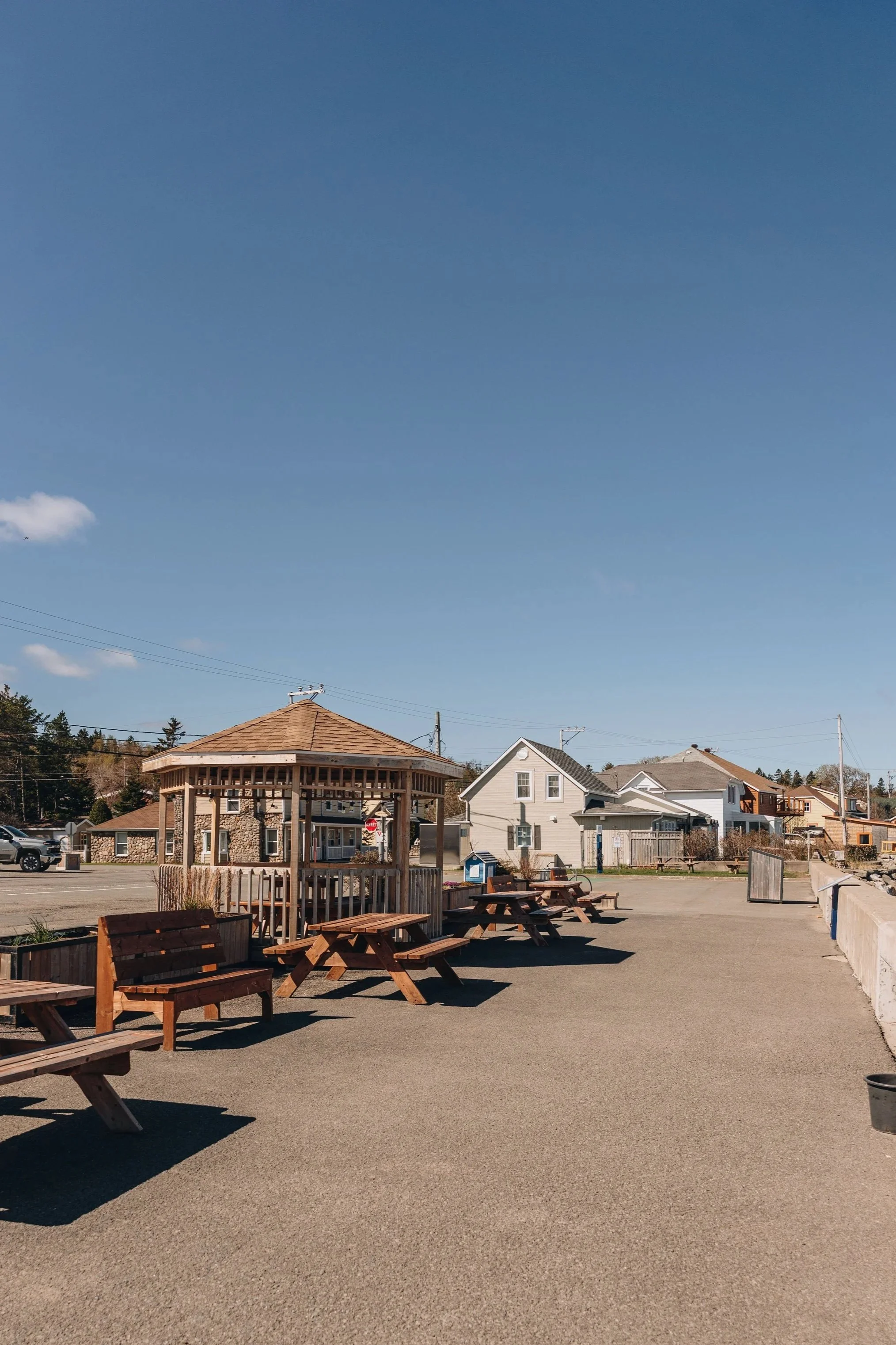 4halte+e%CC%81glise+bas+saint-laurent+chien+plage+.jpg