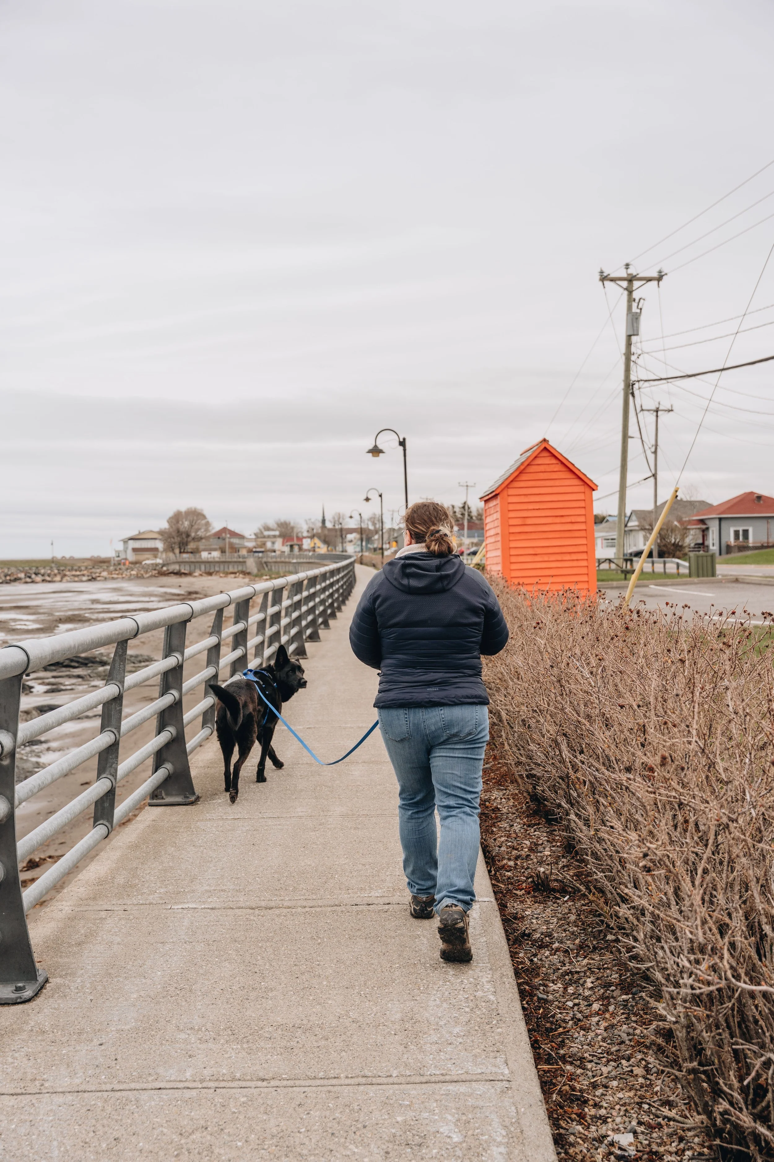 [Bas Saint-Laurent, Sainte-Flavie] Parc Papineau-Labelle