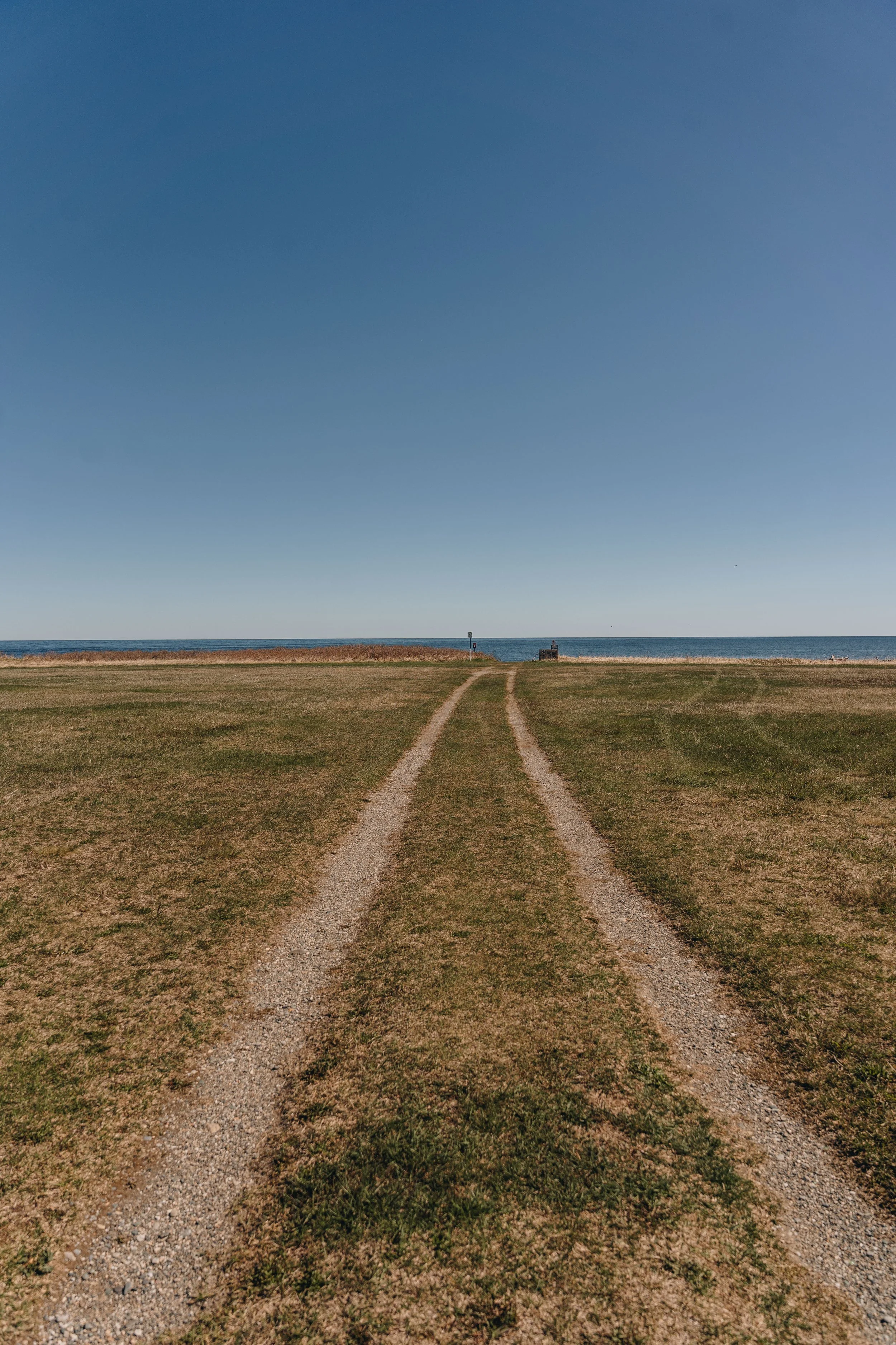 2Centre sportif Claude Jourdain chien plage gaspésie.jpg