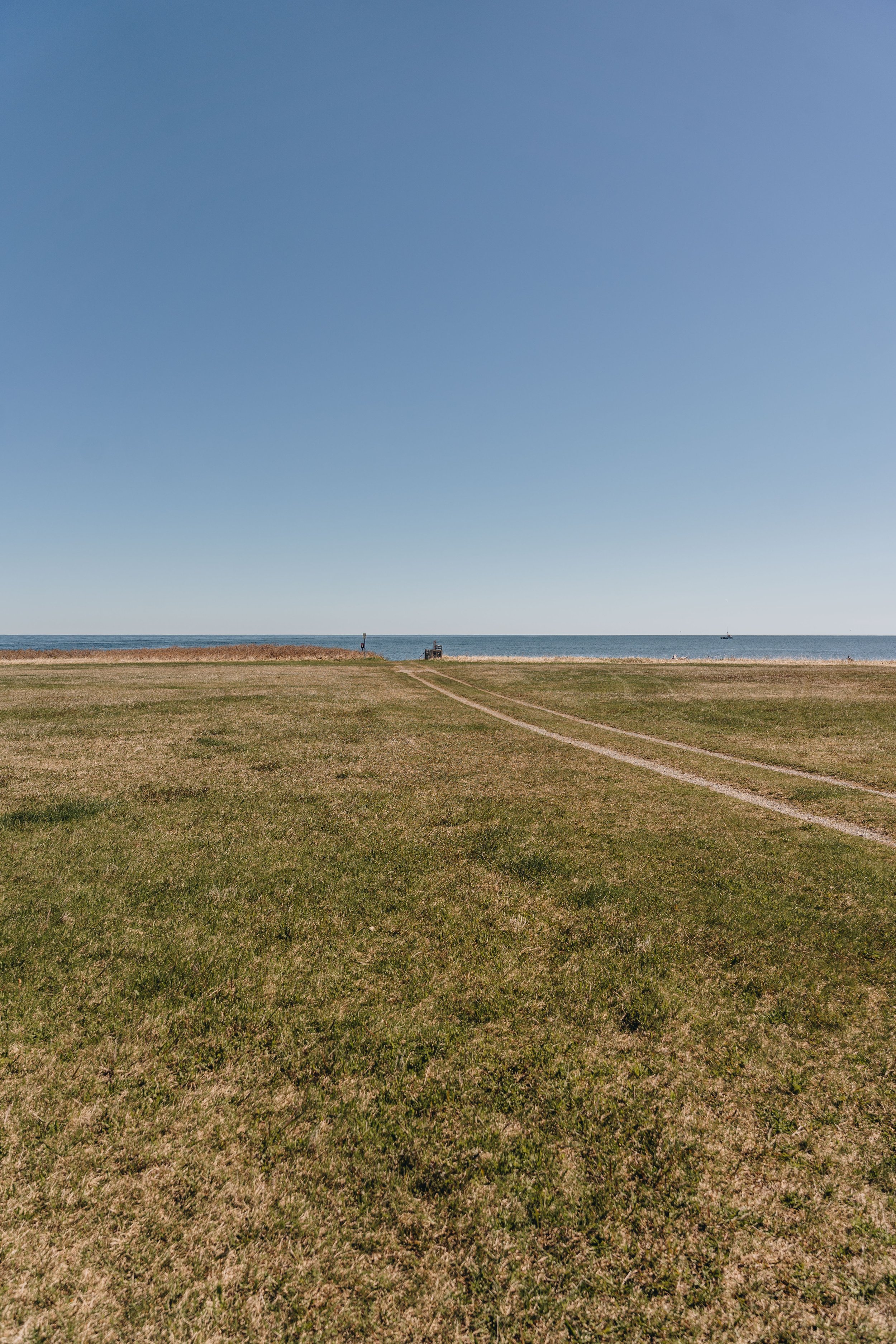 1Centre sportif Claude Jourdain chien plage gaspésie.jpg