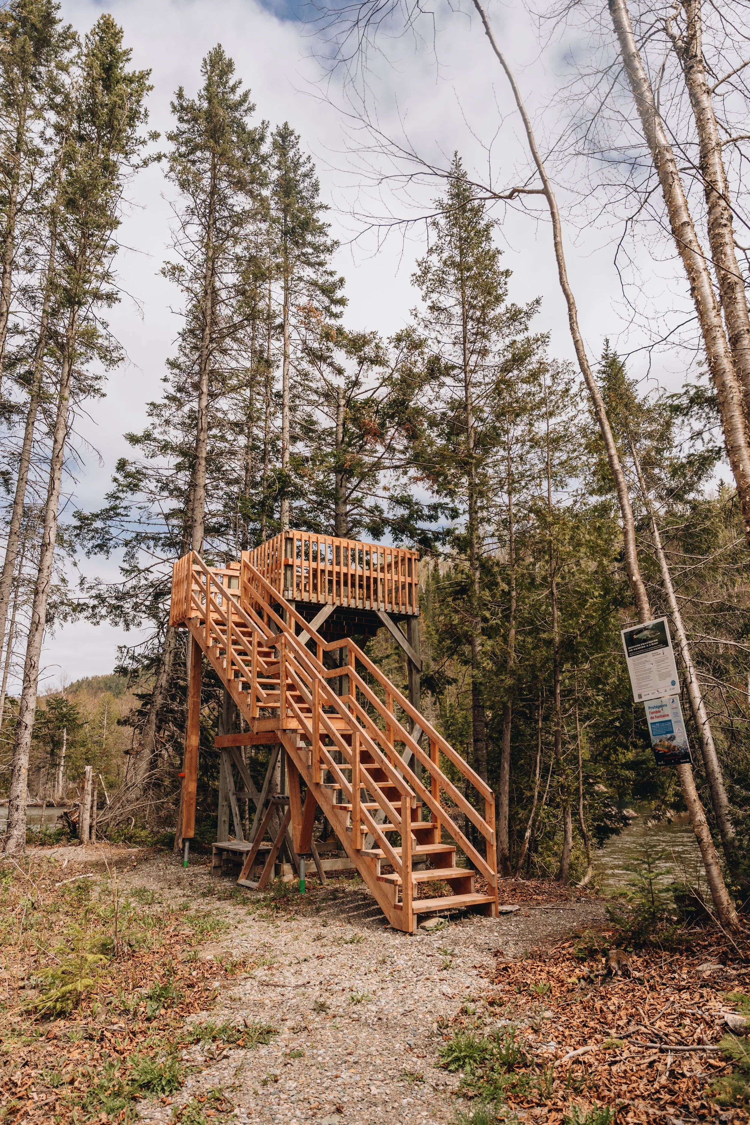 28rikiki onvasepromener .jpg