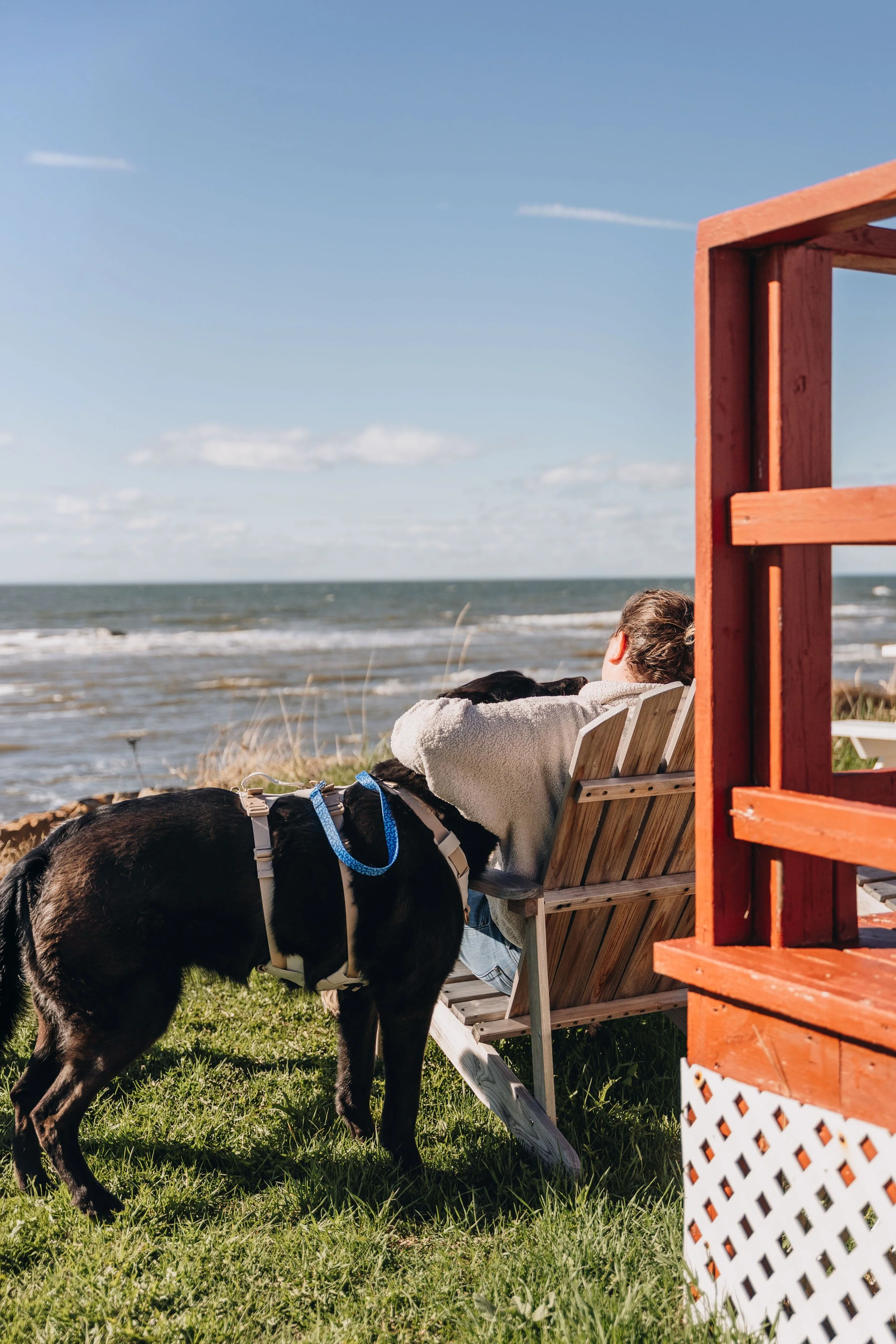 33maison bleue onvasepromener navigateurs.jpg