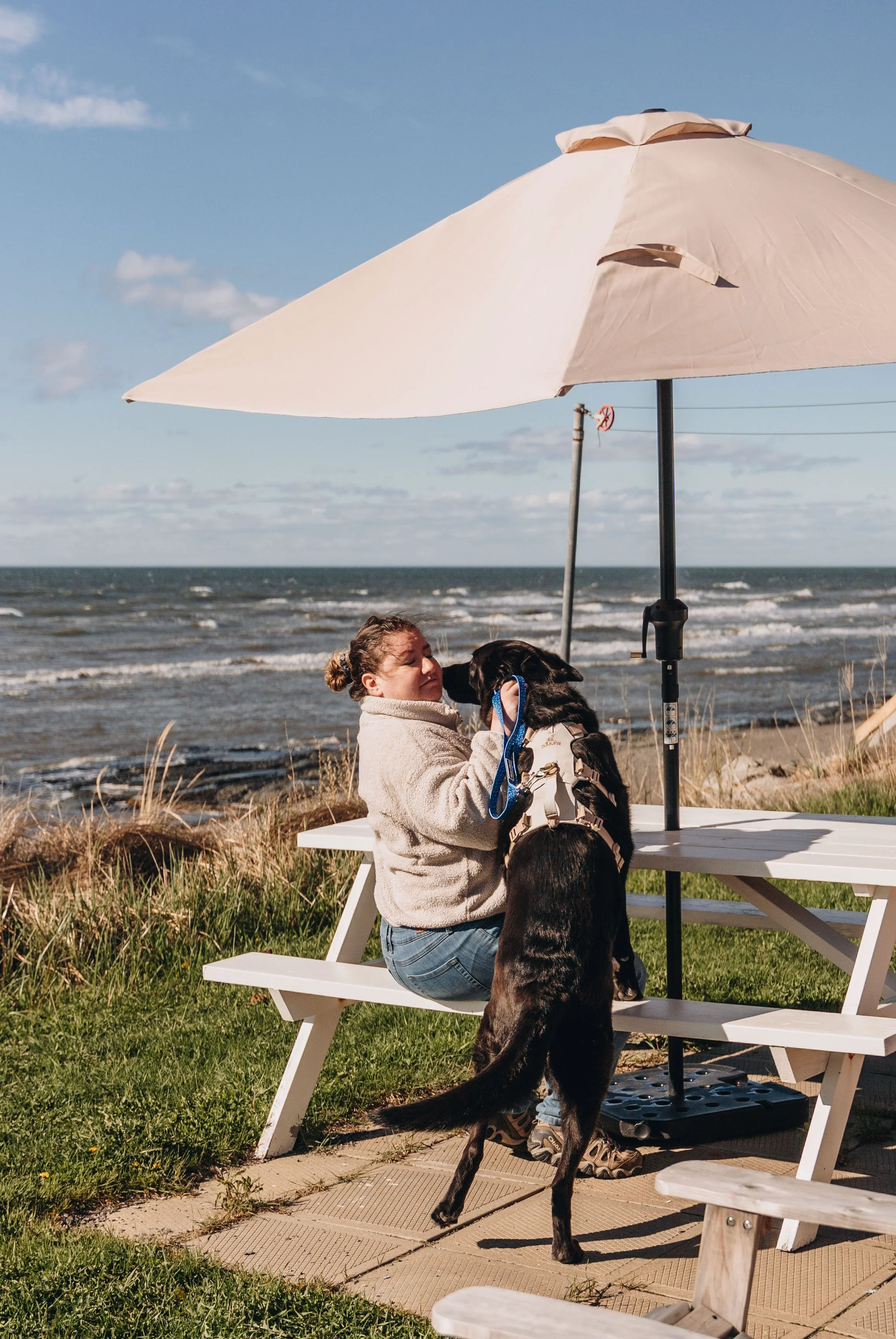 49maison bleue onvasepromener navigateurs.jpg