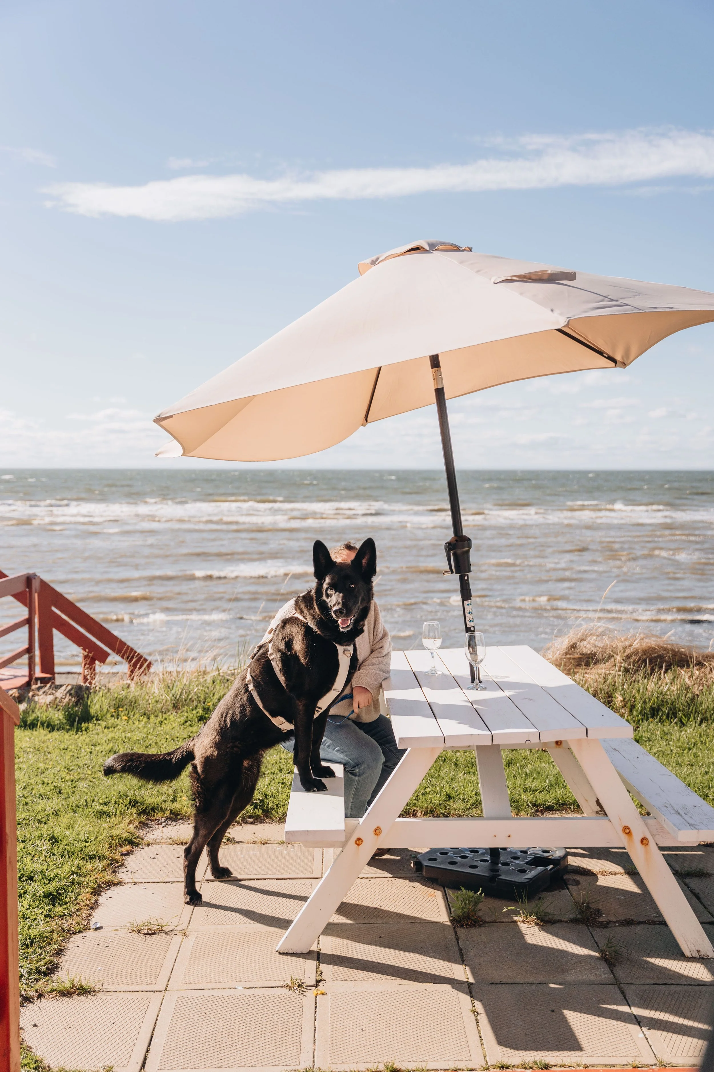 60maison bleue onvasepromener navigateurs.jpg