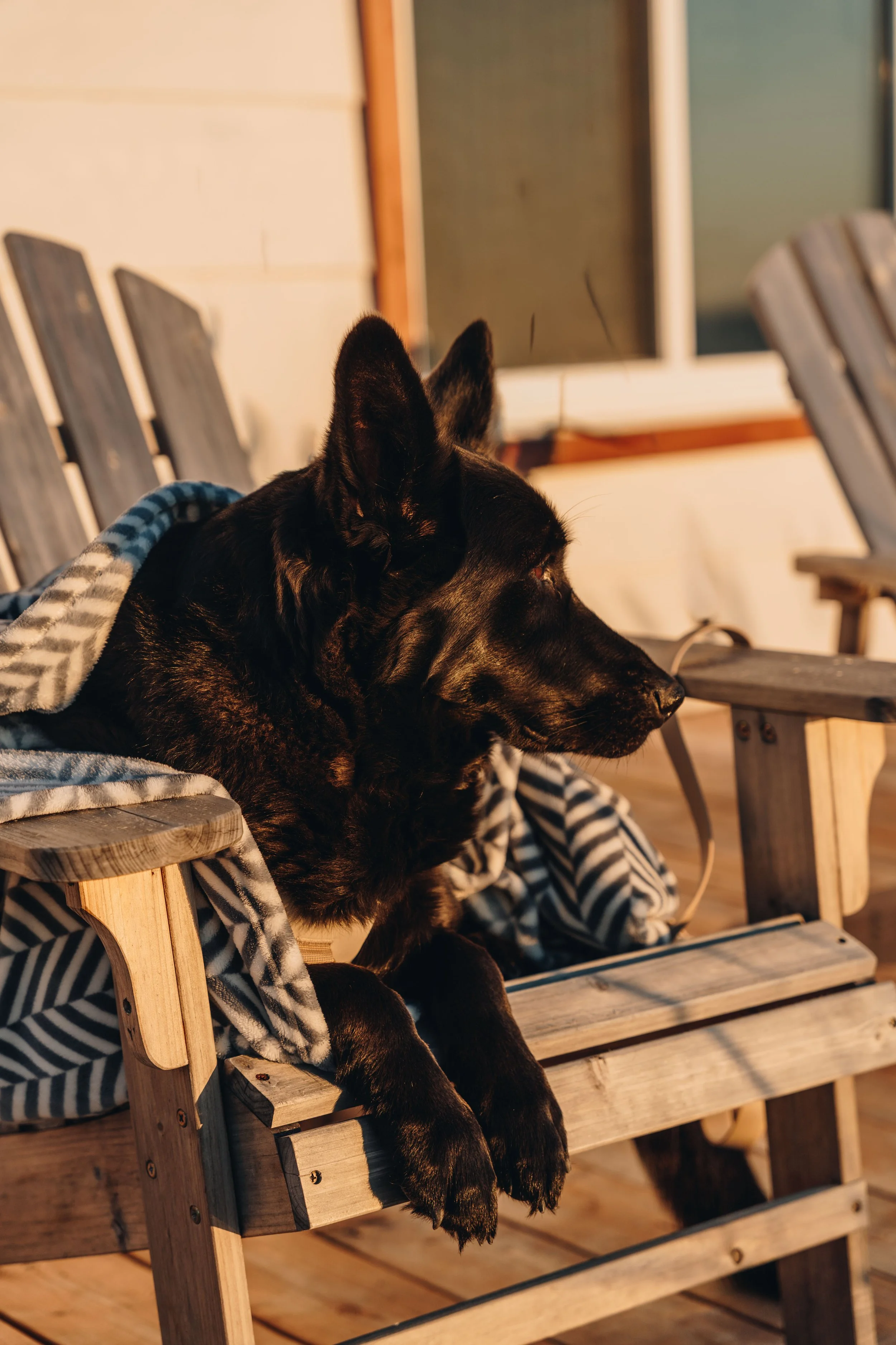 61maison blanche onvasepromener navigateurs ste-luce .jpg