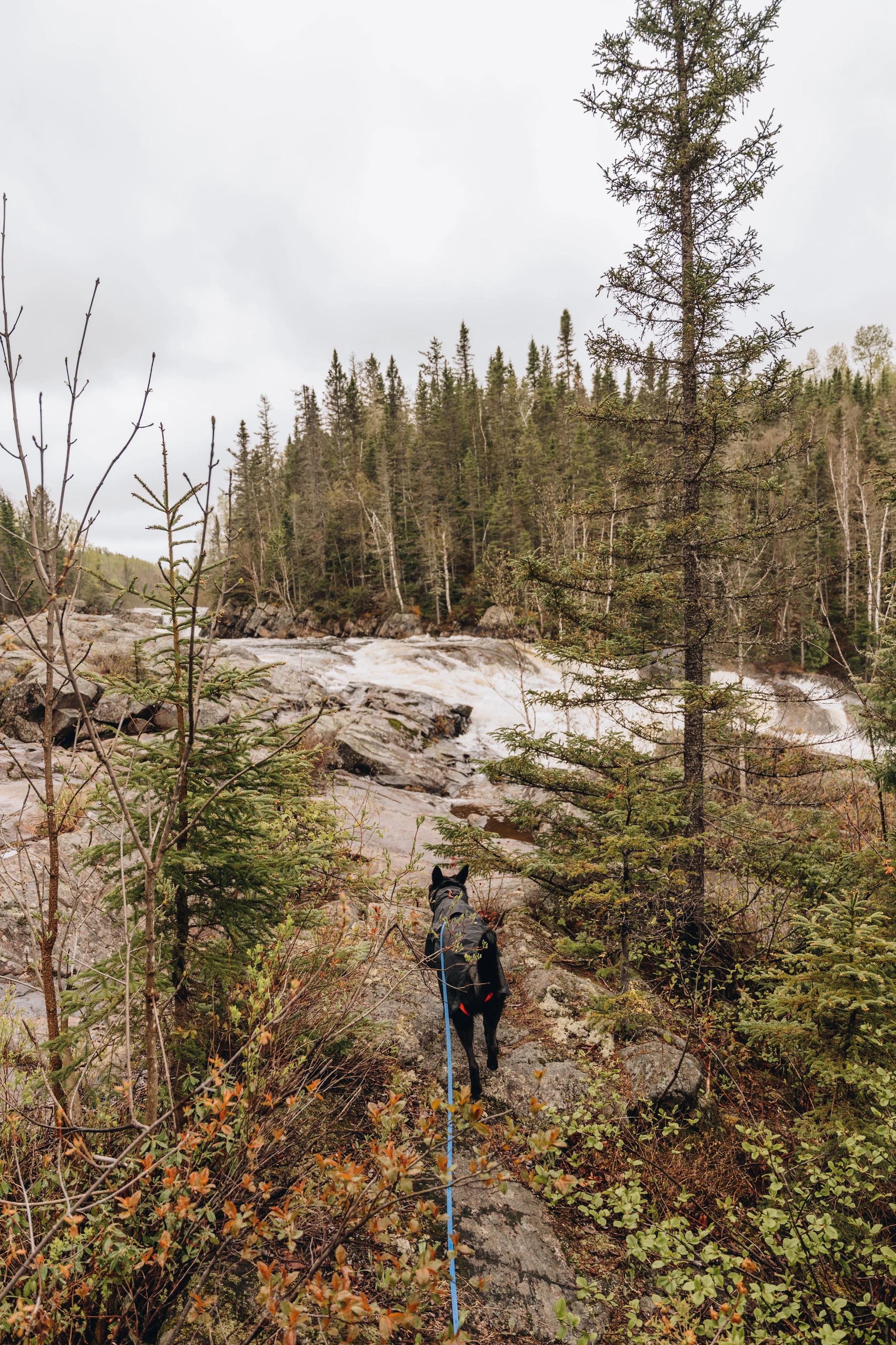 [Charlevoix, Sagard] La chute à Sagard