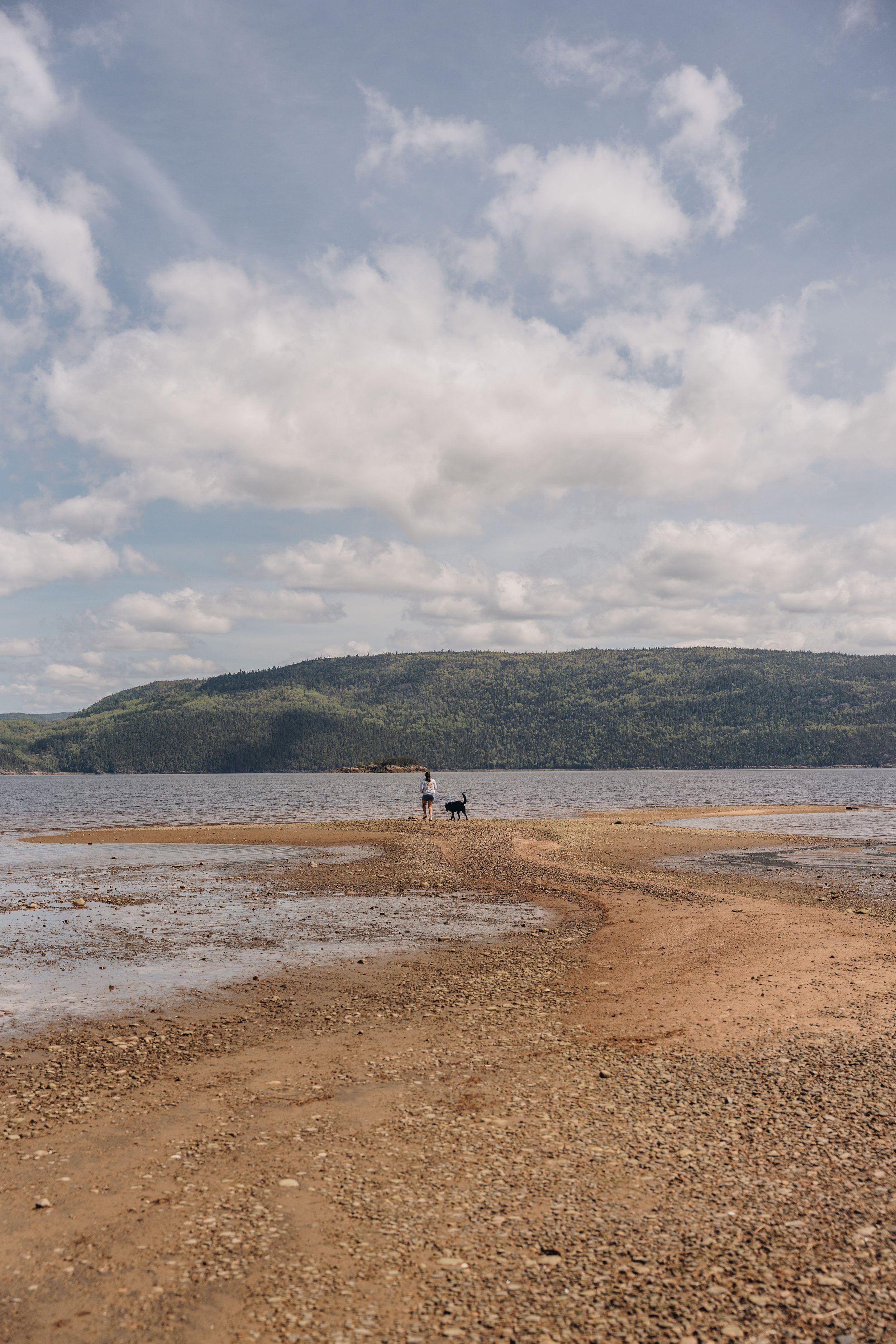 20plage lanse saint jean chien onvasepromener.jpg
