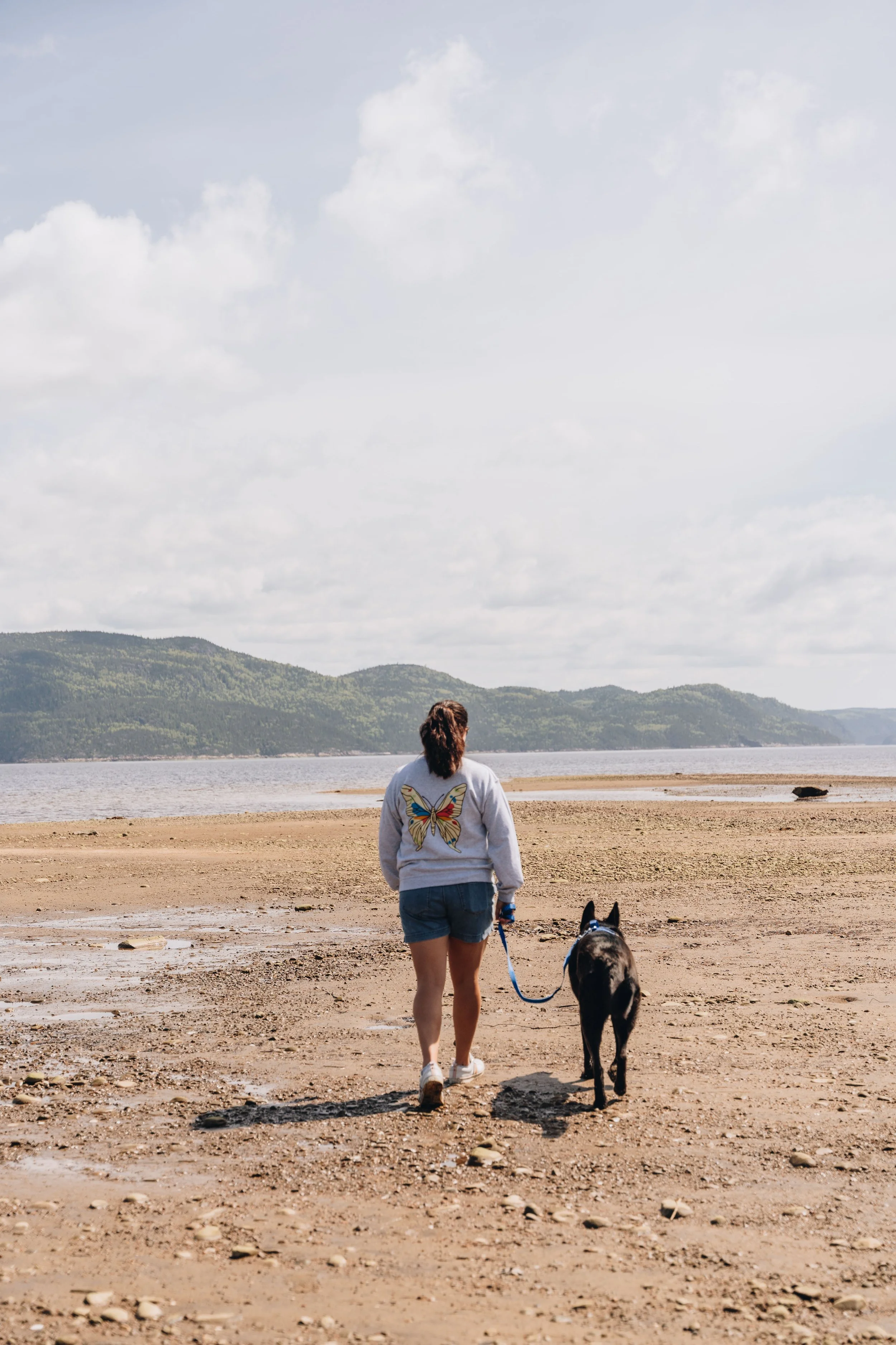 9plage lanse saint jean chien onvasepromener.jpg