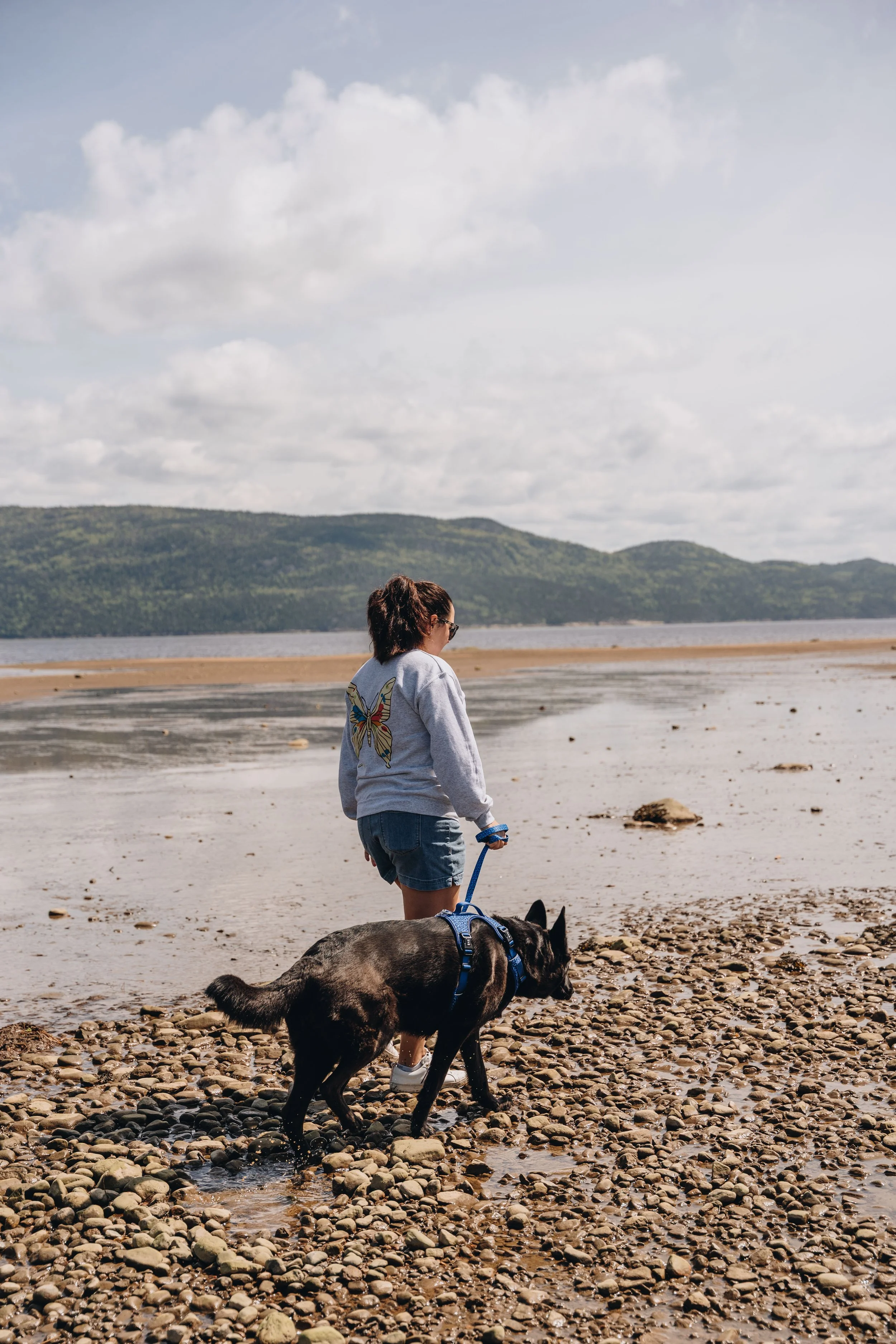 4plage lanse saint jean chien onvasepromener.jpg