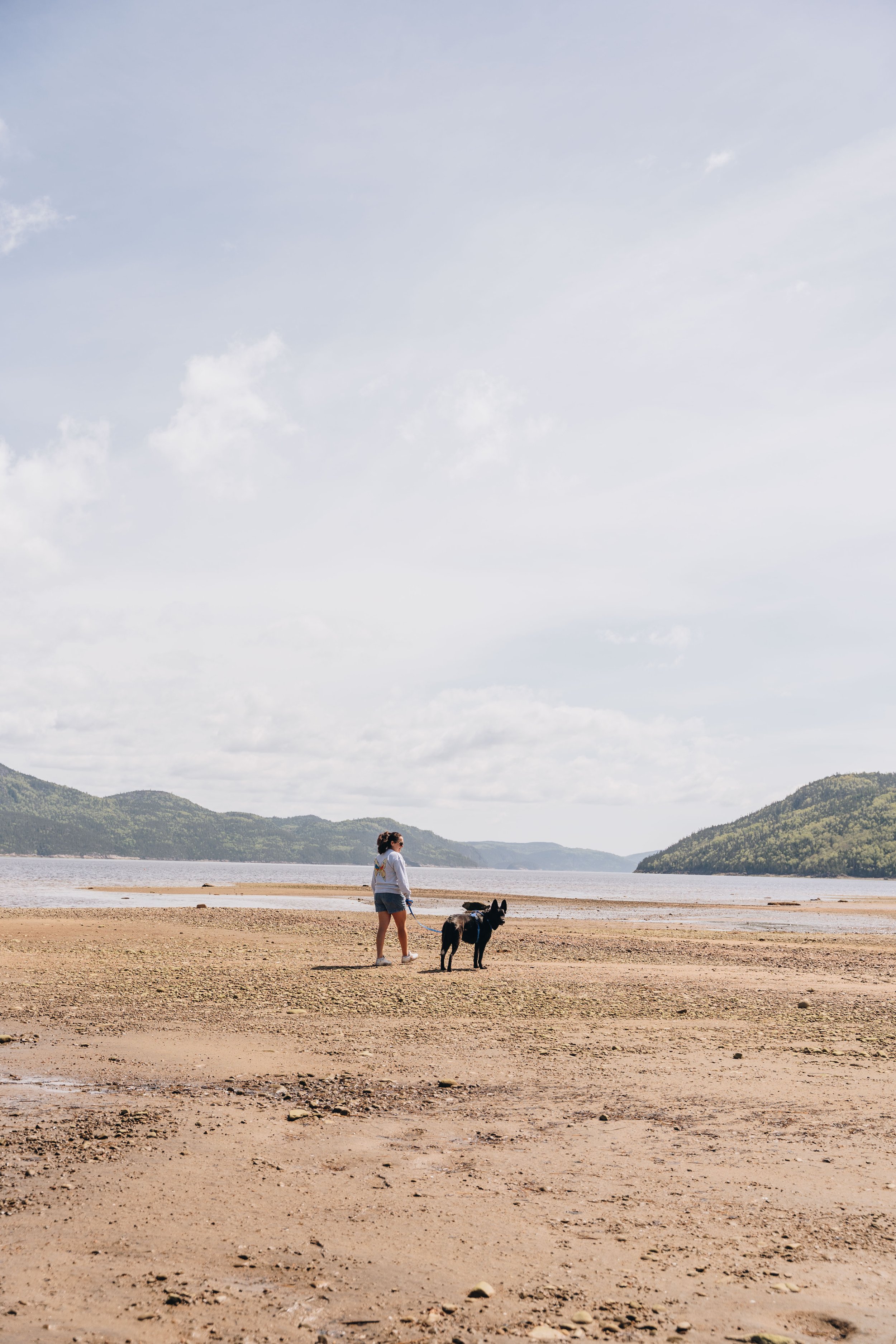 13plage lanse saint jean chien onvasepromener.jpg