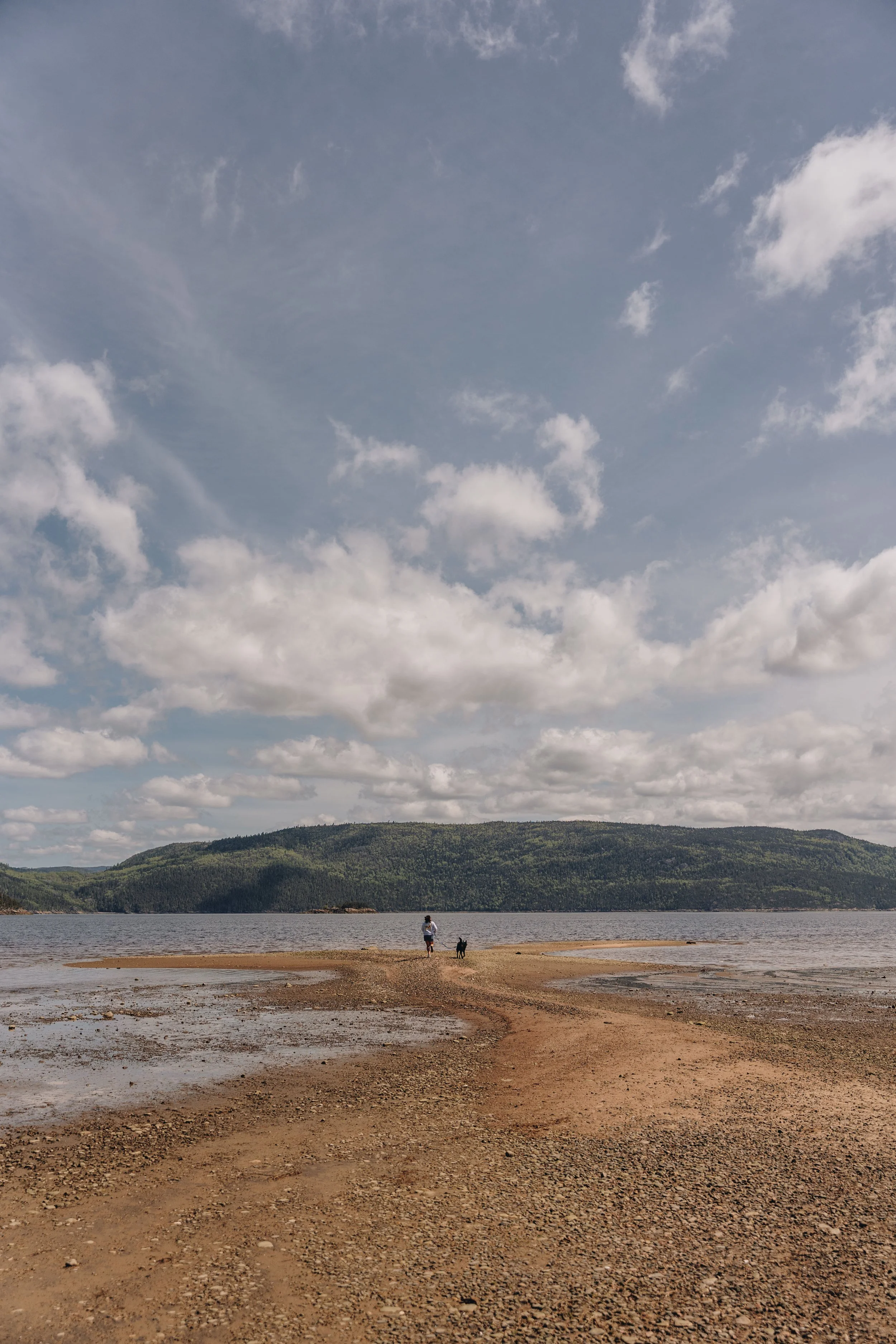 18plage lanse saint jean chien onvasepromener.jpg