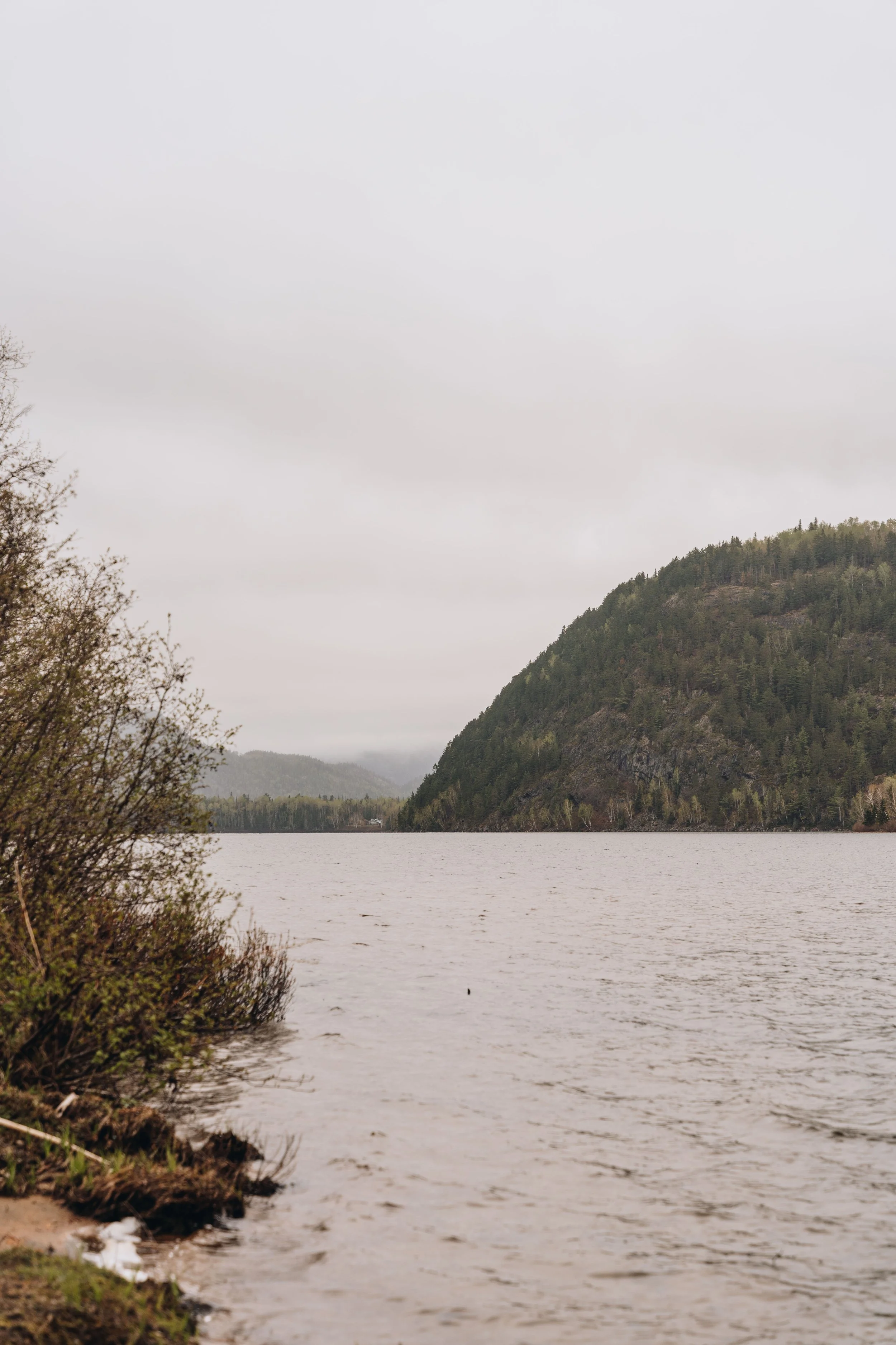 7Plage du Lac Deschênes chien onvasepromener.jpg
