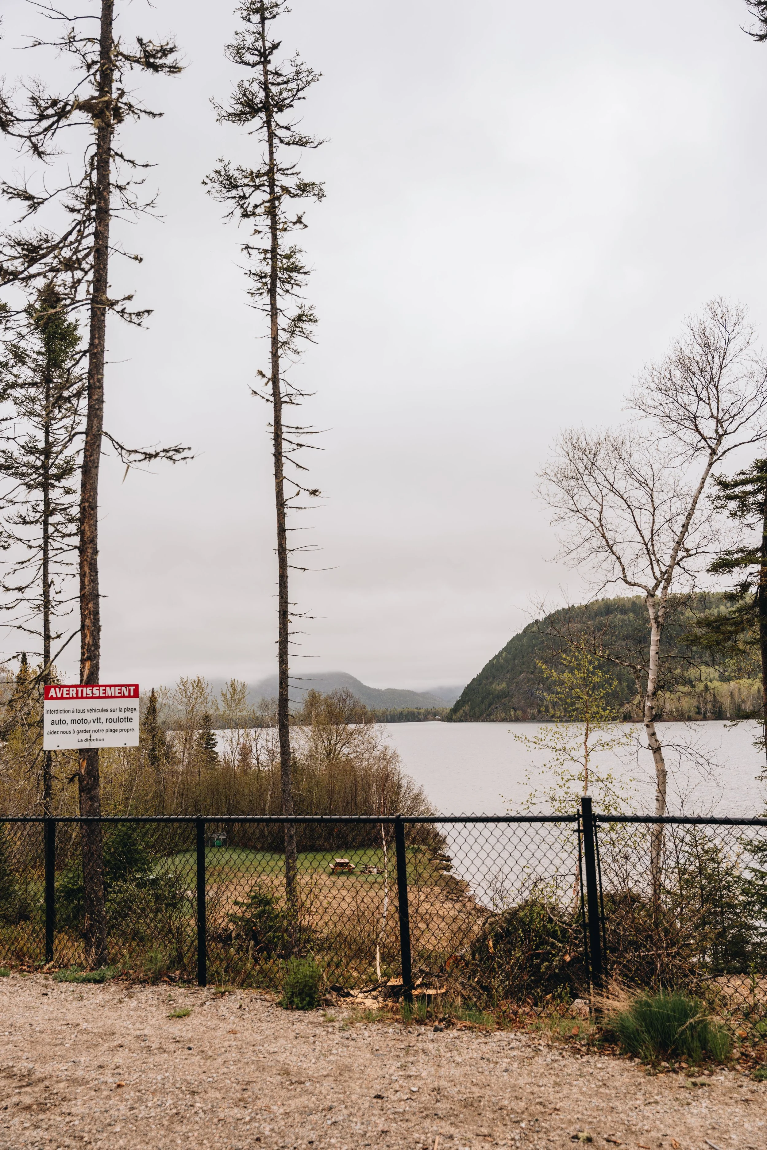 11Plage du Lac Deschênes chien onvasepromener.jpg