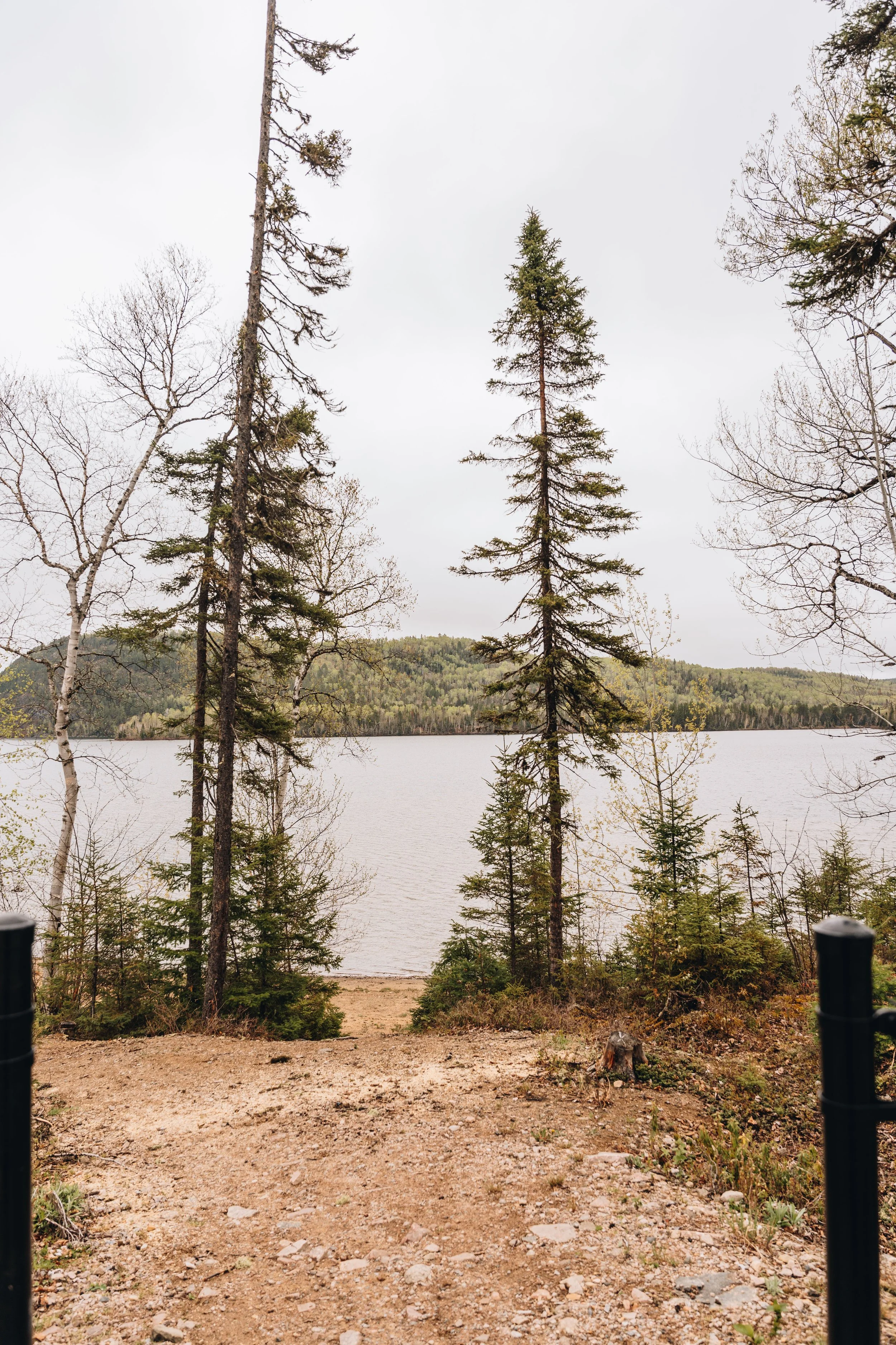 10Plage du Lac Deschênes chien onvasepromener.jpg