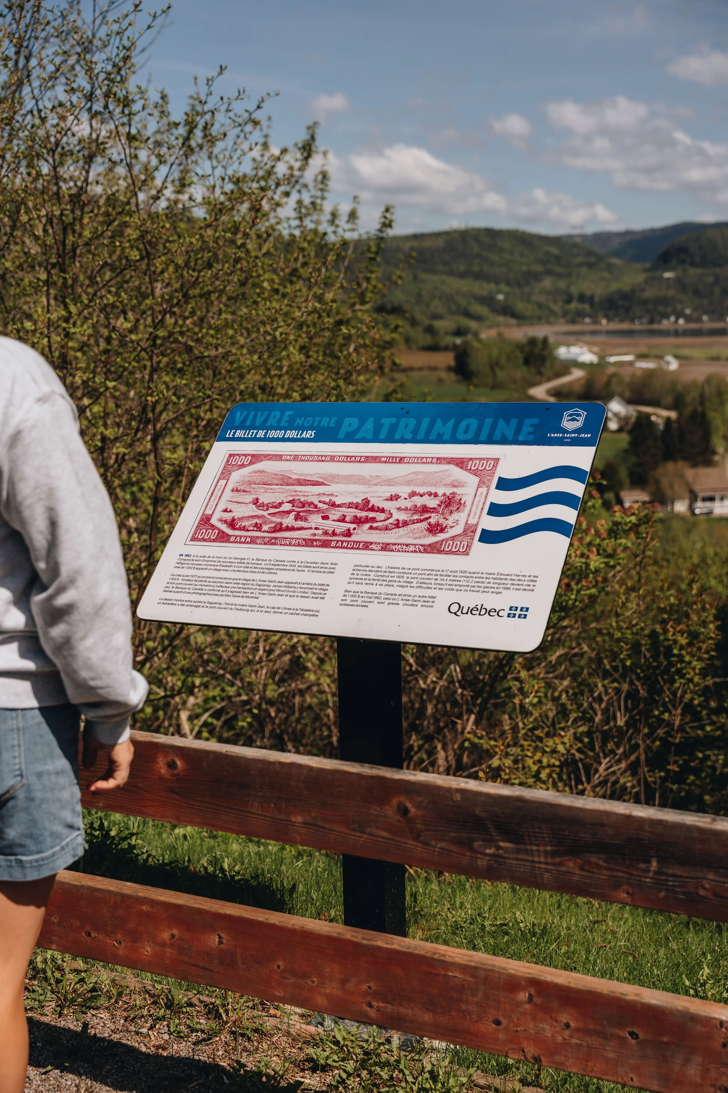 11000 view point chien onvasepromener.jpg