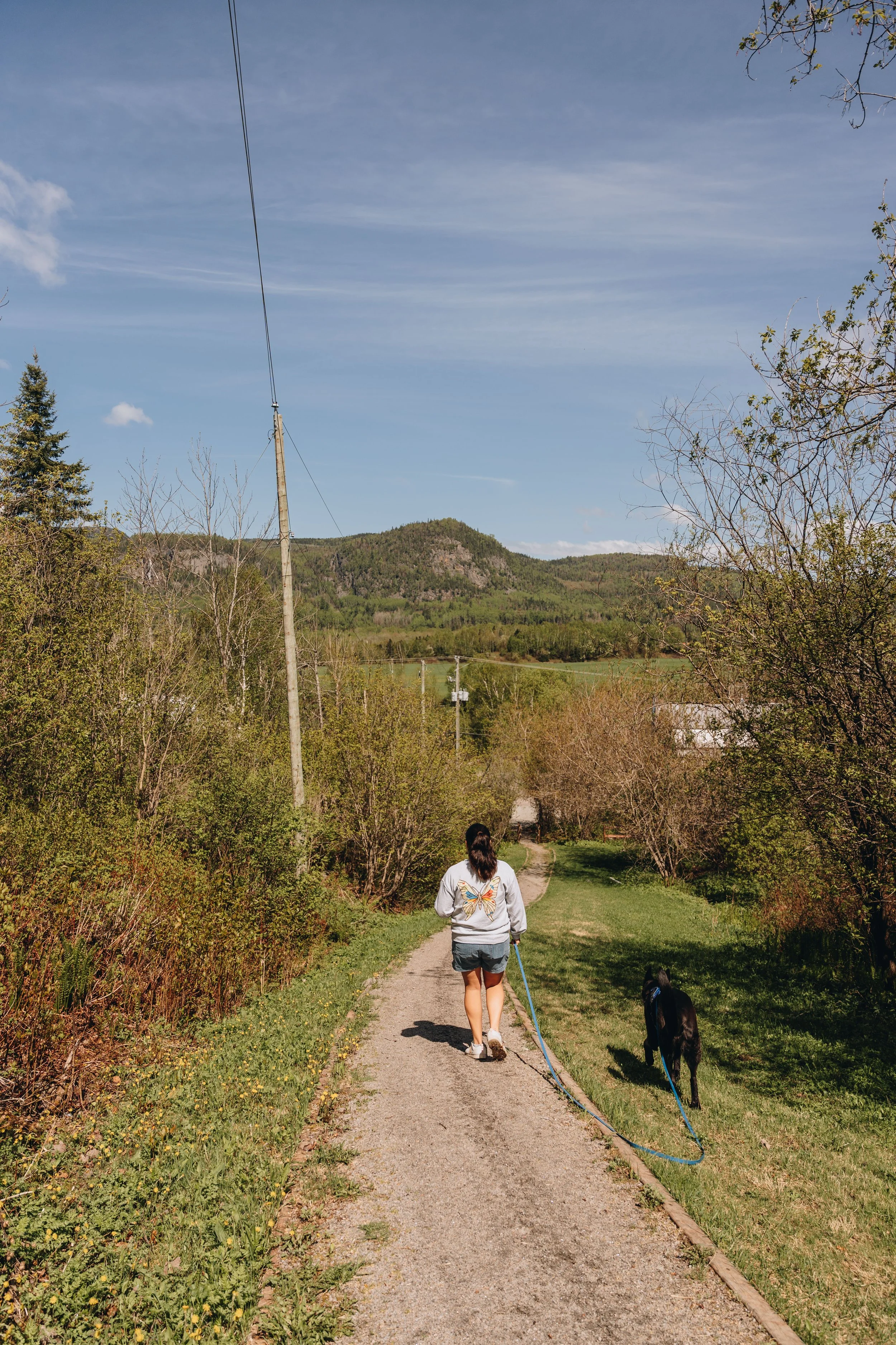 271000 view point chien onvasepromener.jpg