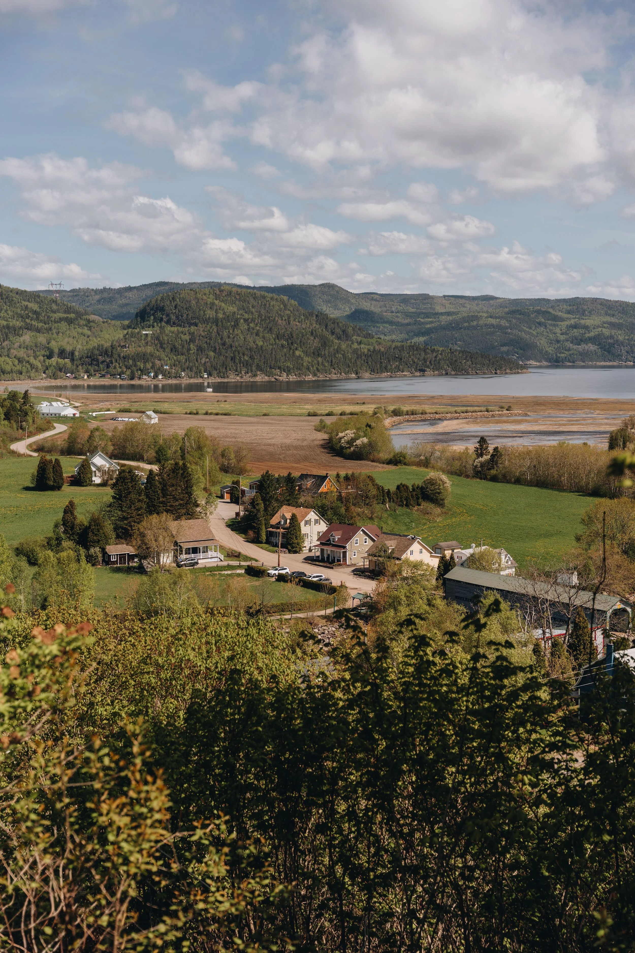 71000 view point chien onvasepromener.jpg