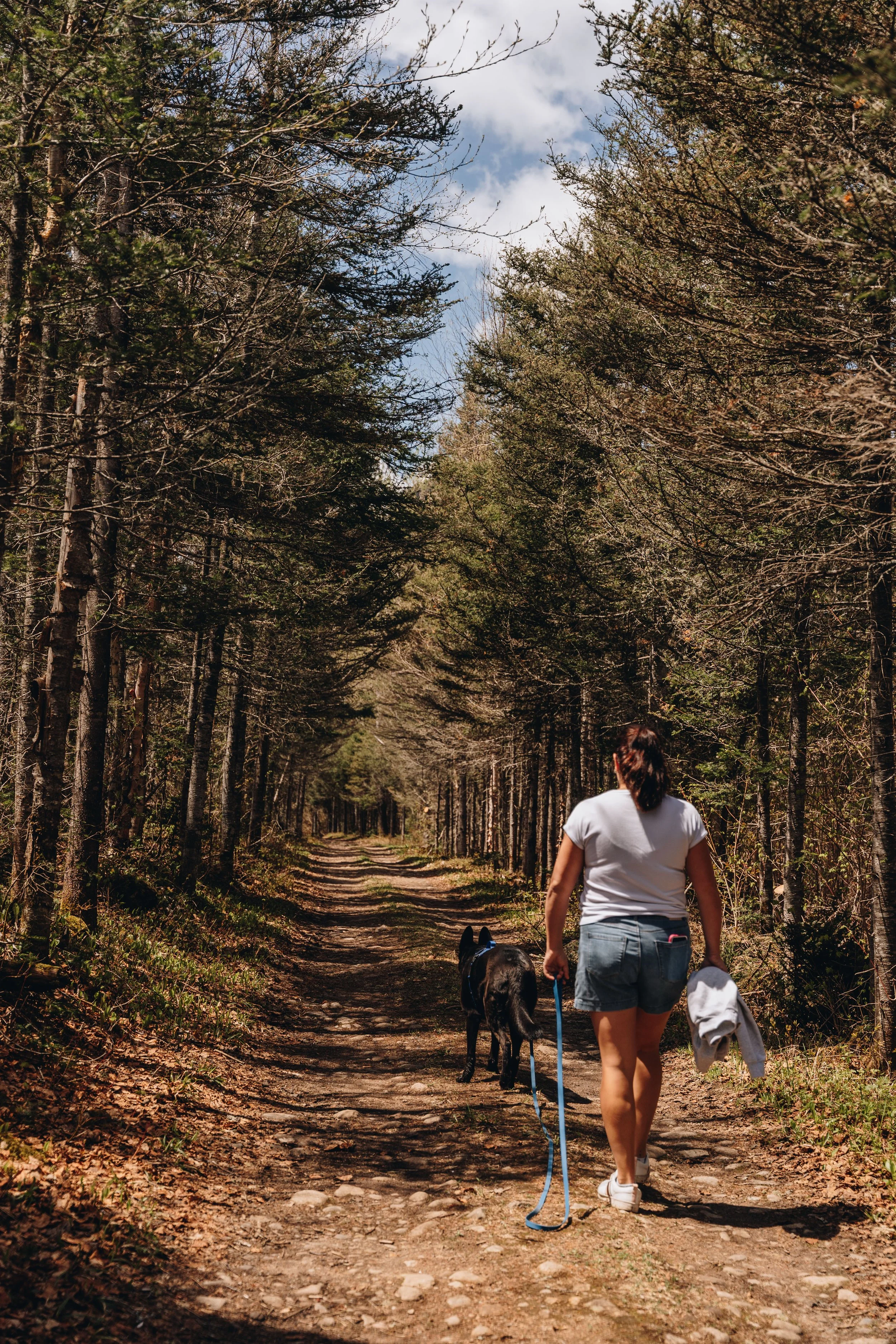 6zec anse saint jean onvasepromener chien .jpg