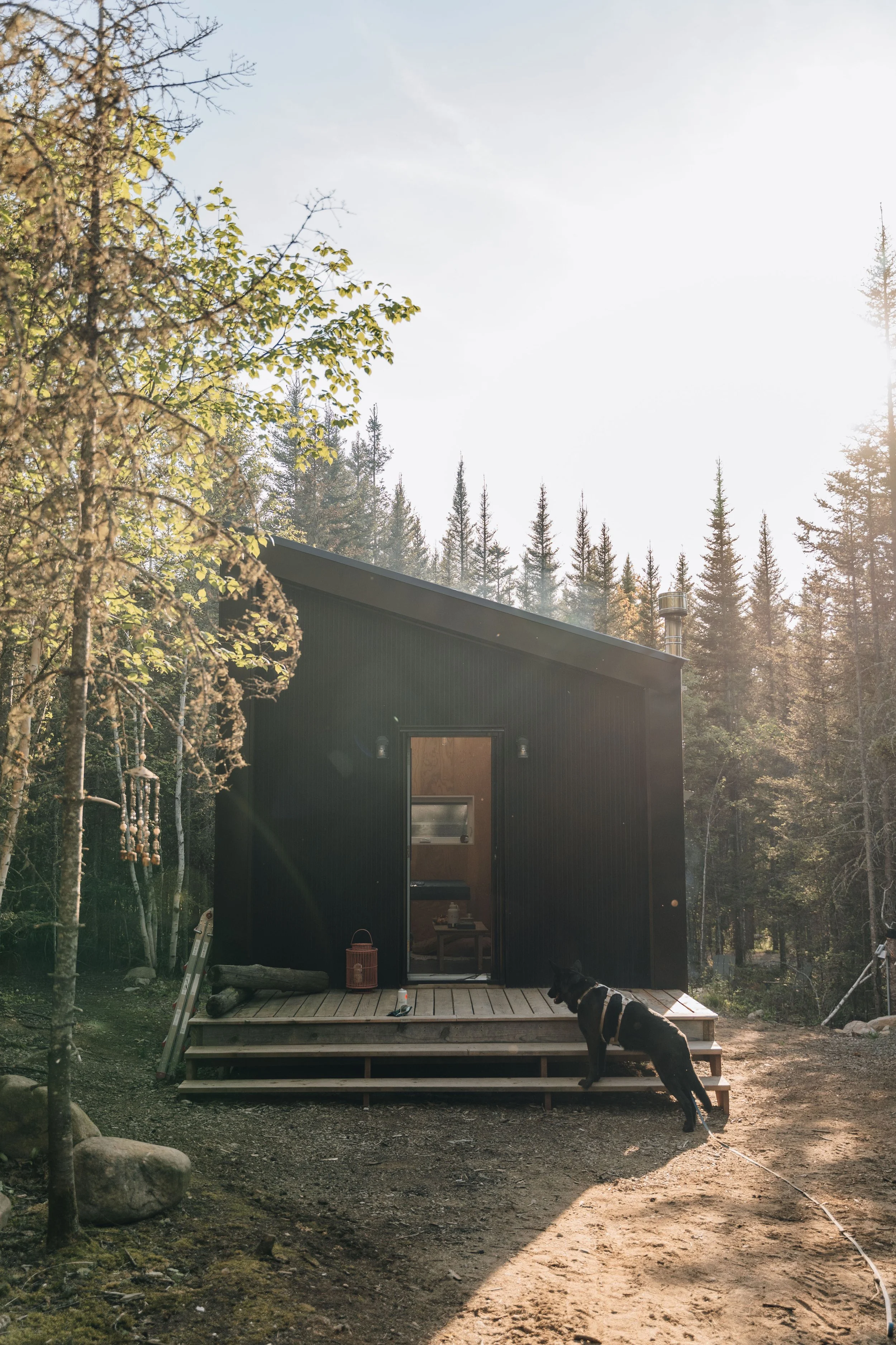 89daco hébergement charlevoix chien onvasepromener .jpg