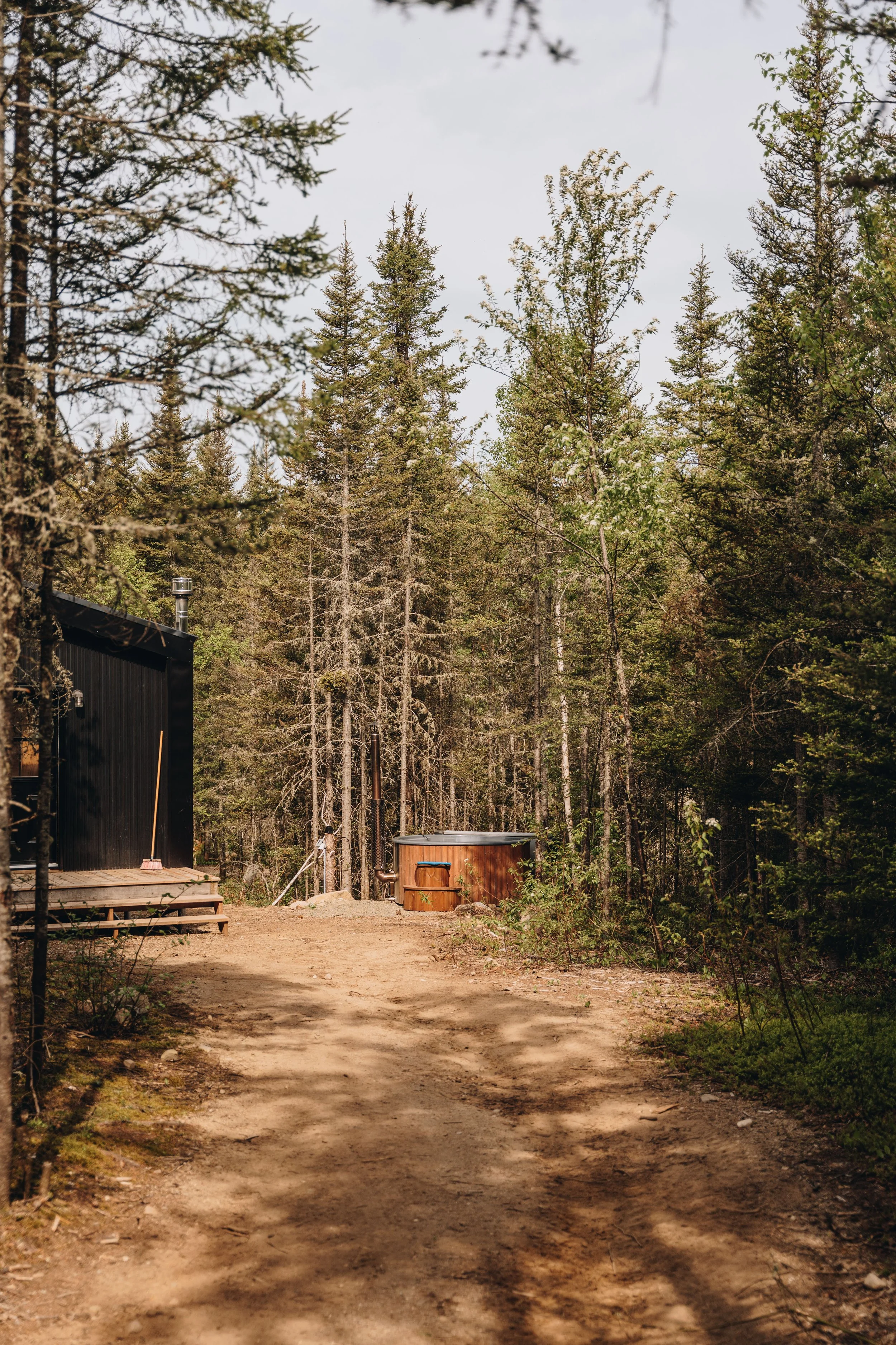 162daco hébergement charlevoix chien onvasepromener .jpg