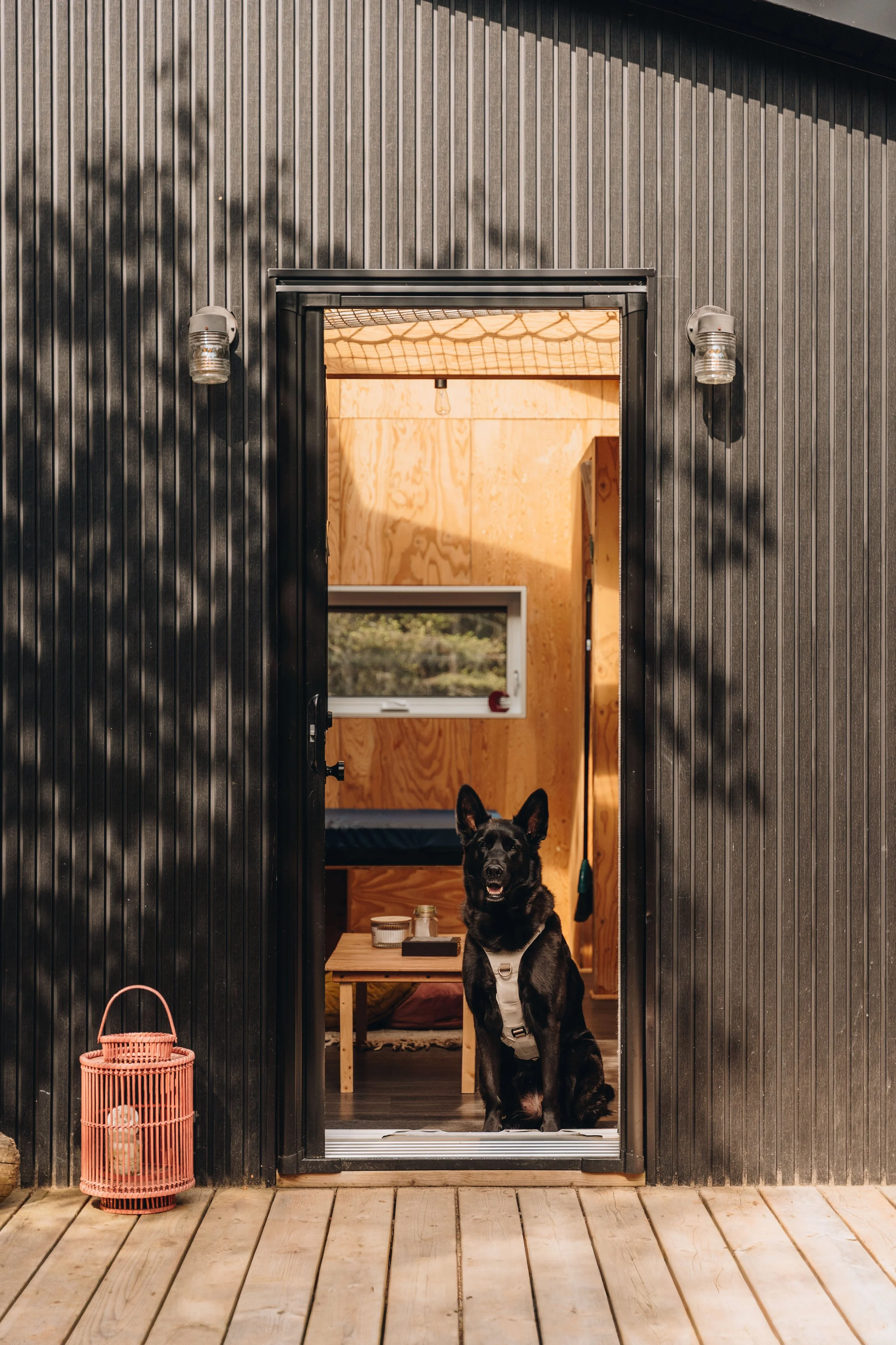 142daco hébergement charlevoix chien onvasepromener .jpg