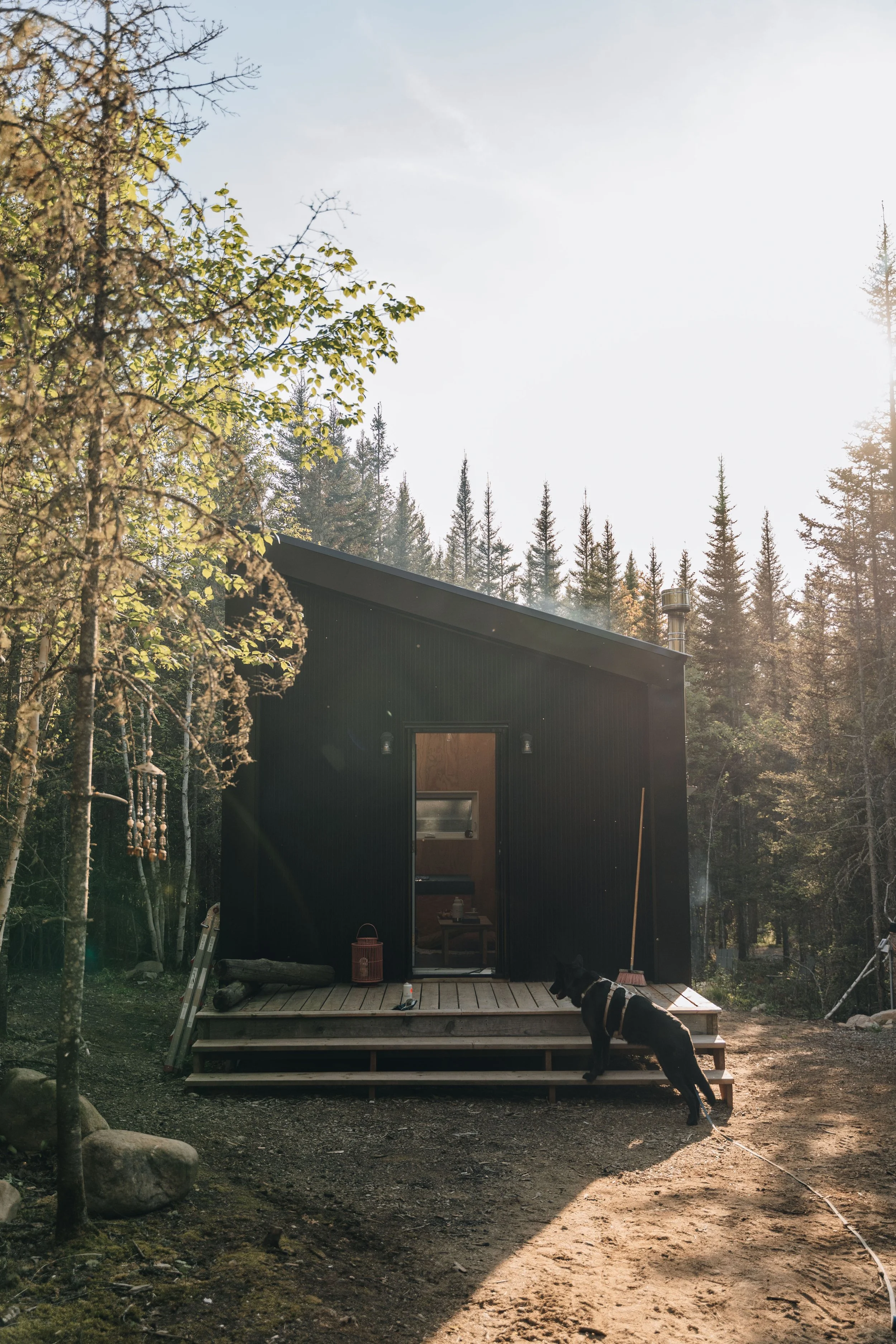 88daco hébergement charlevoix chien onvasepromener .jpg