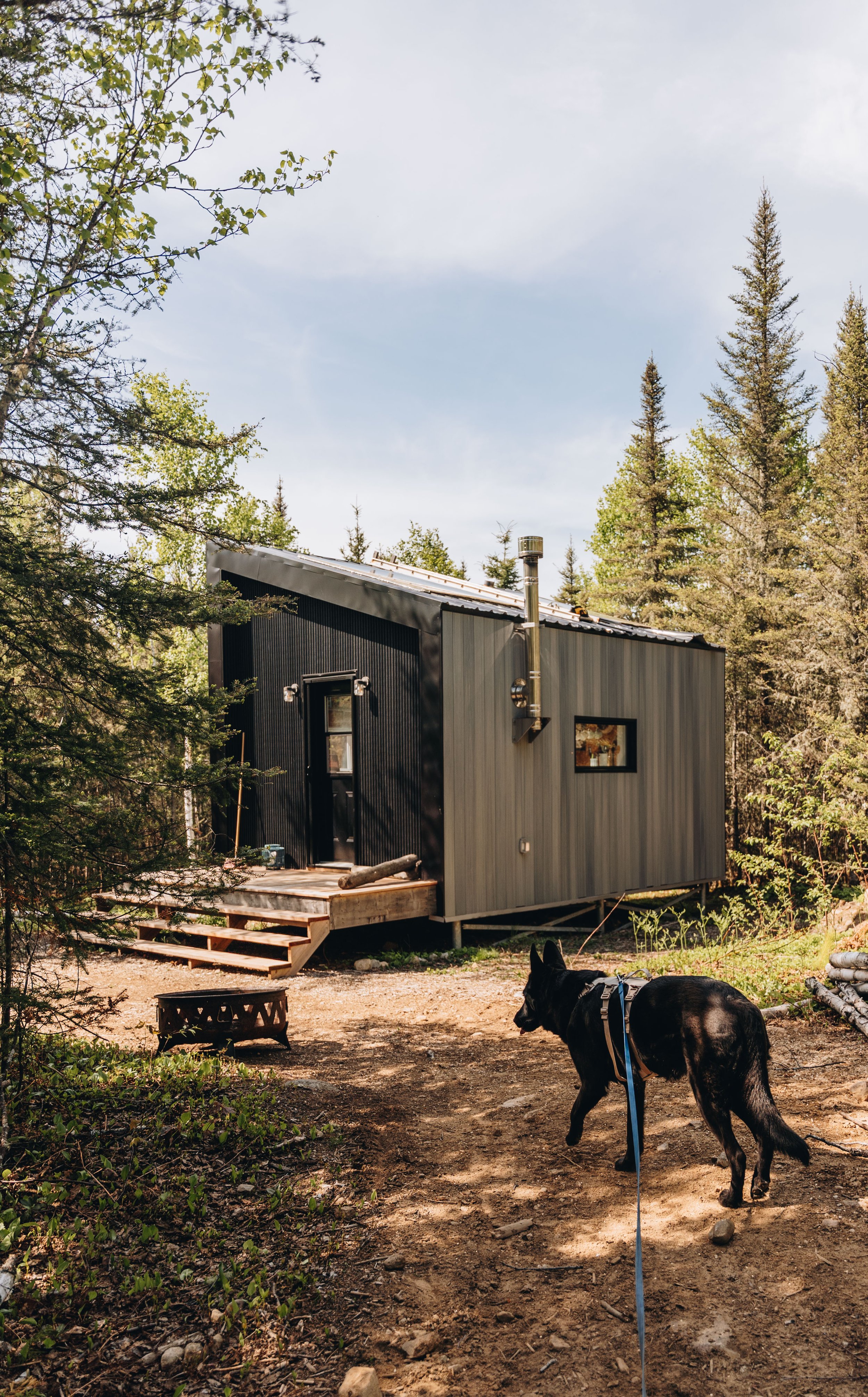 11daco hébergement charlevoix chien onvasepromener .jpg
