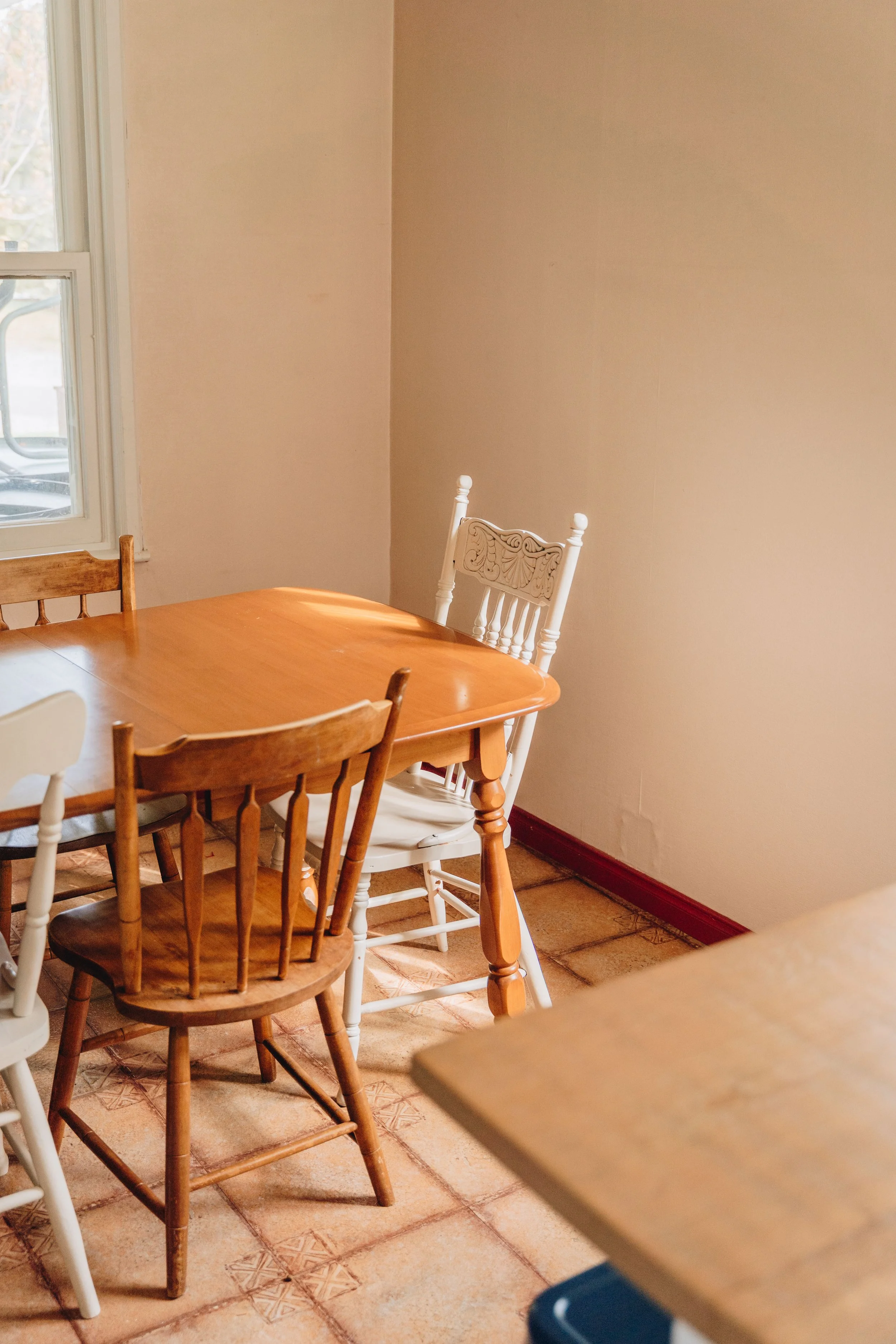 159Auberge du Jardin onvasepromener chien .jpg