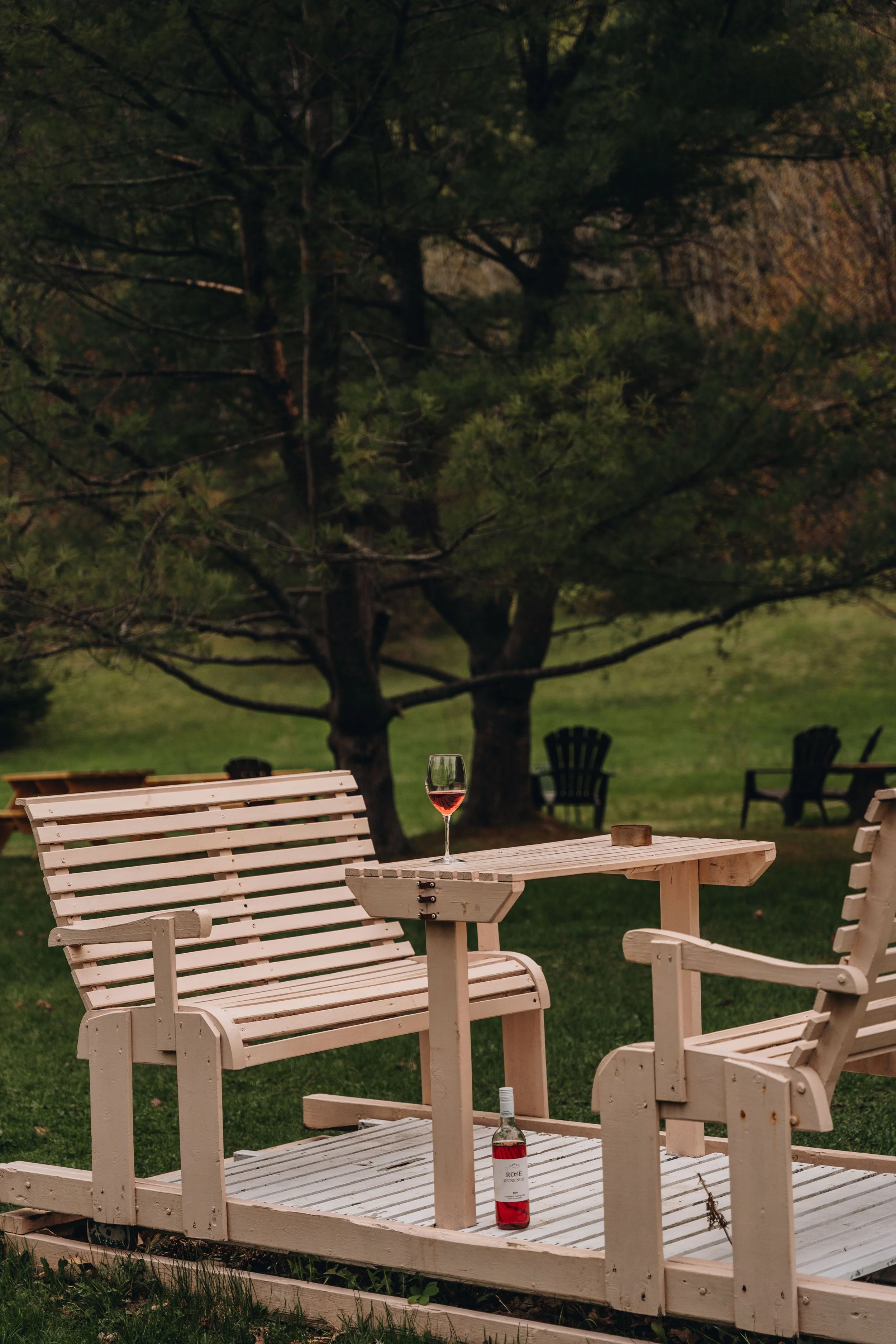 51Auberge du Jardin onvasepromener chien .jpg