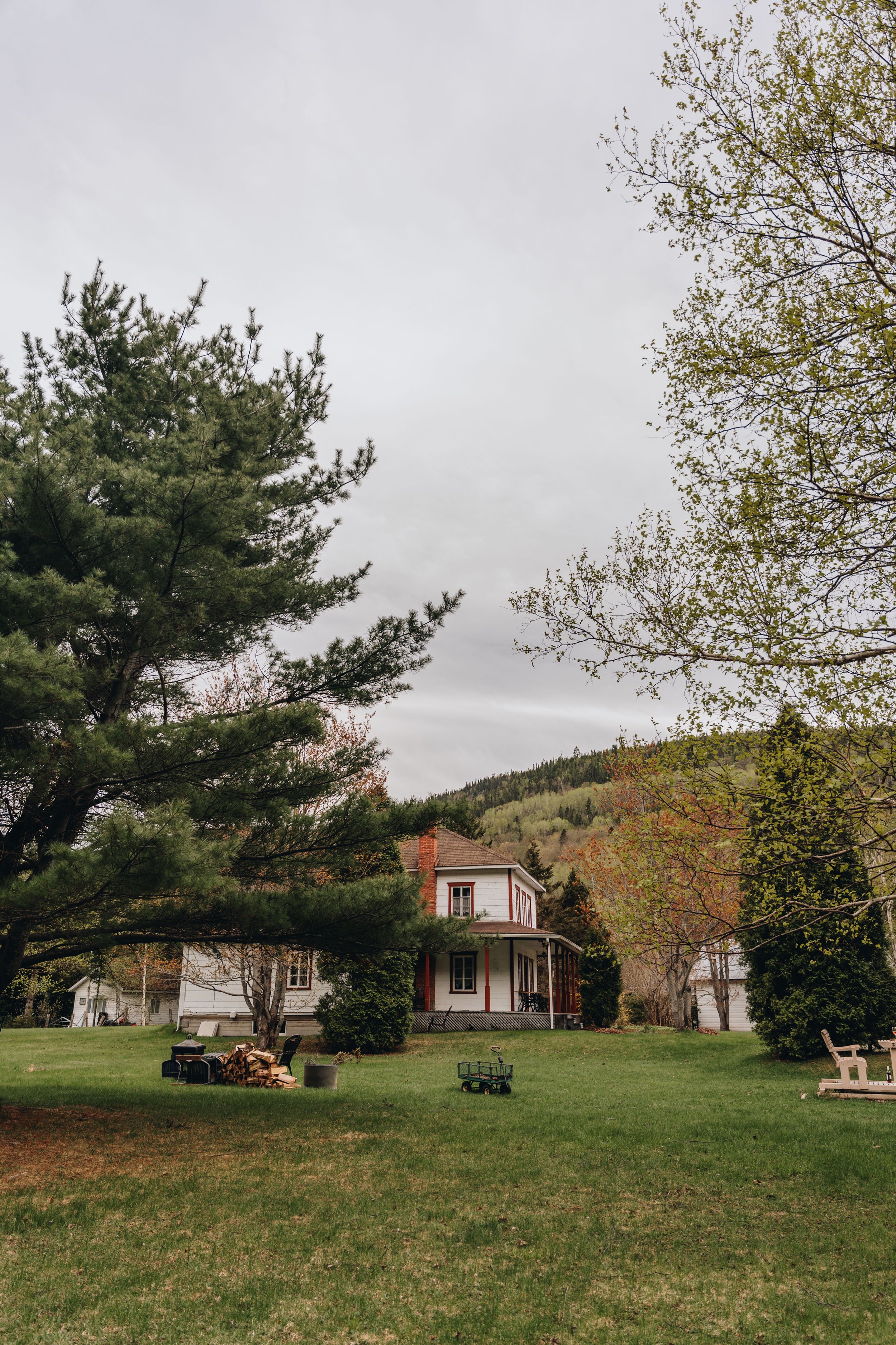 56Auberge du Jardin onvasepromener chien .jpg