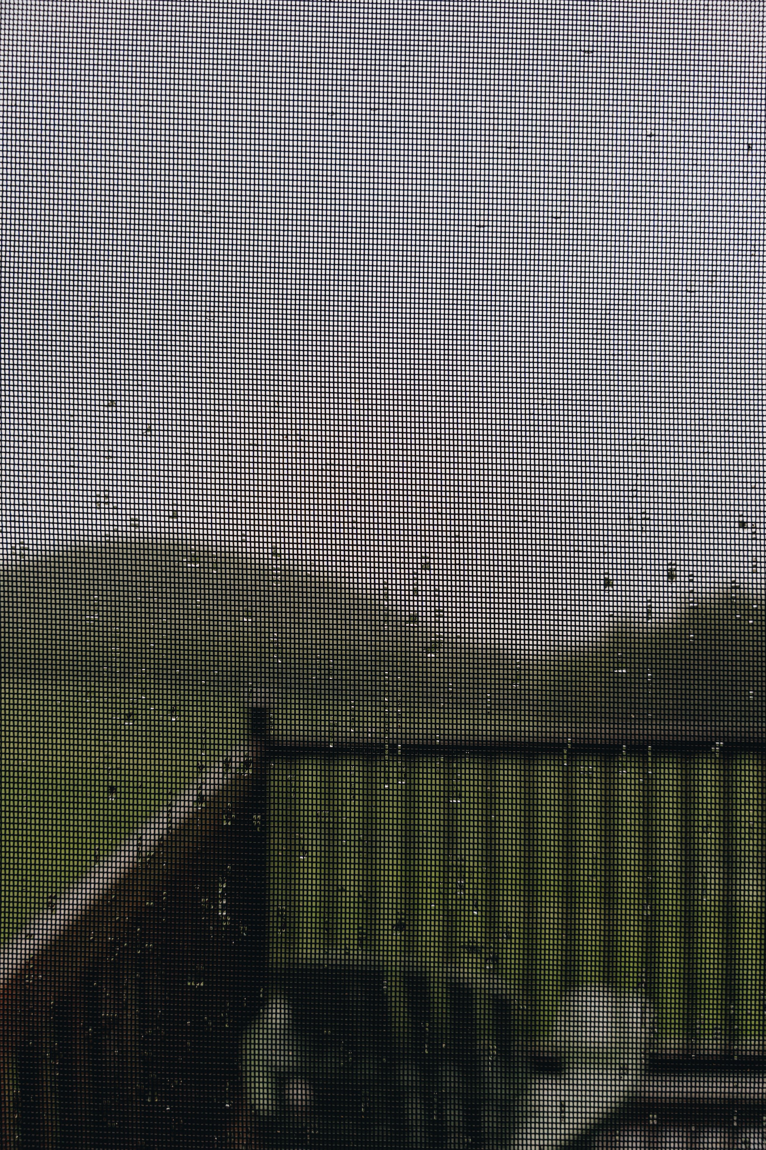 DSC02601.jpg