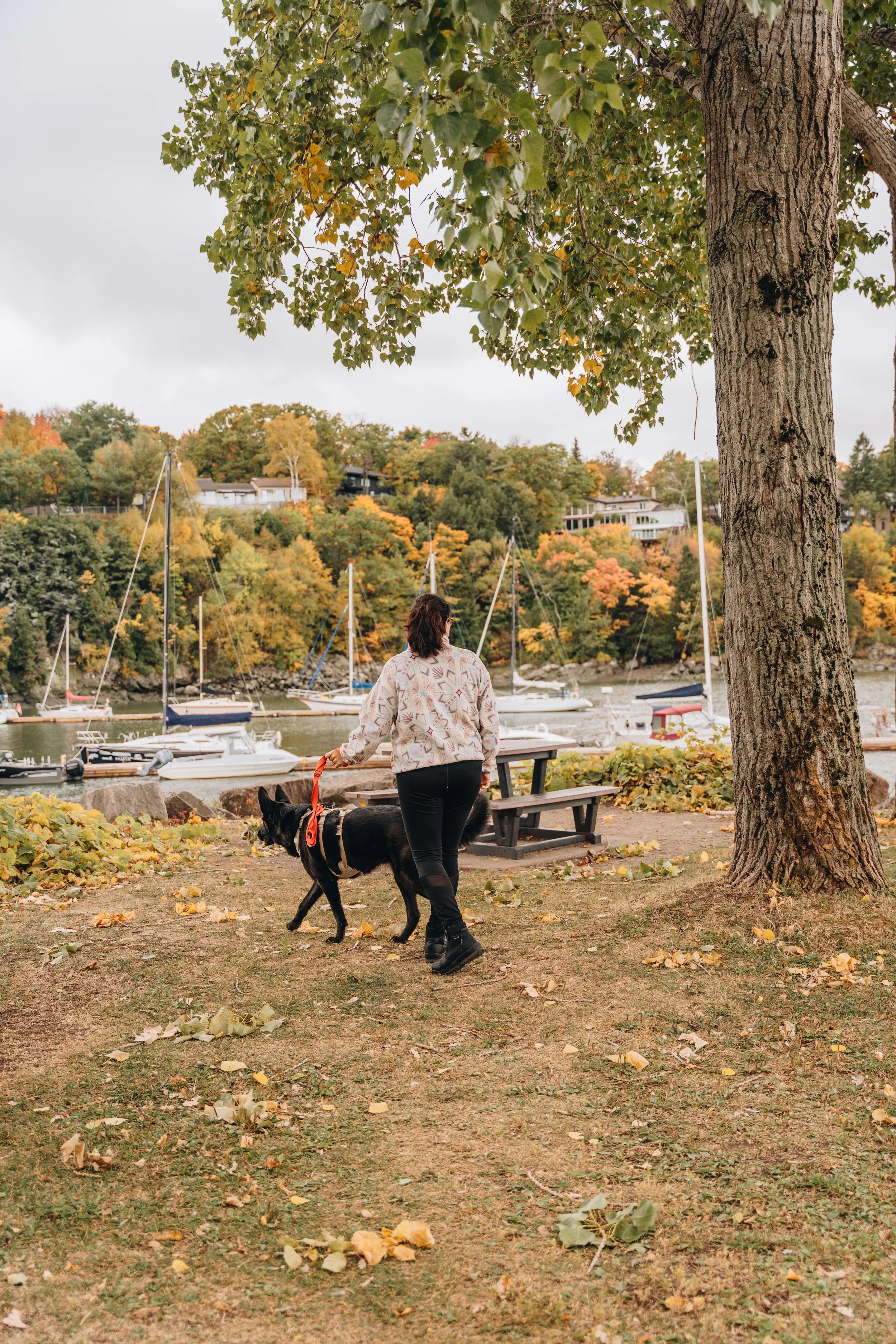 Parc Michel-L’Hebreux : Marina de la Chaudière 44.jpg