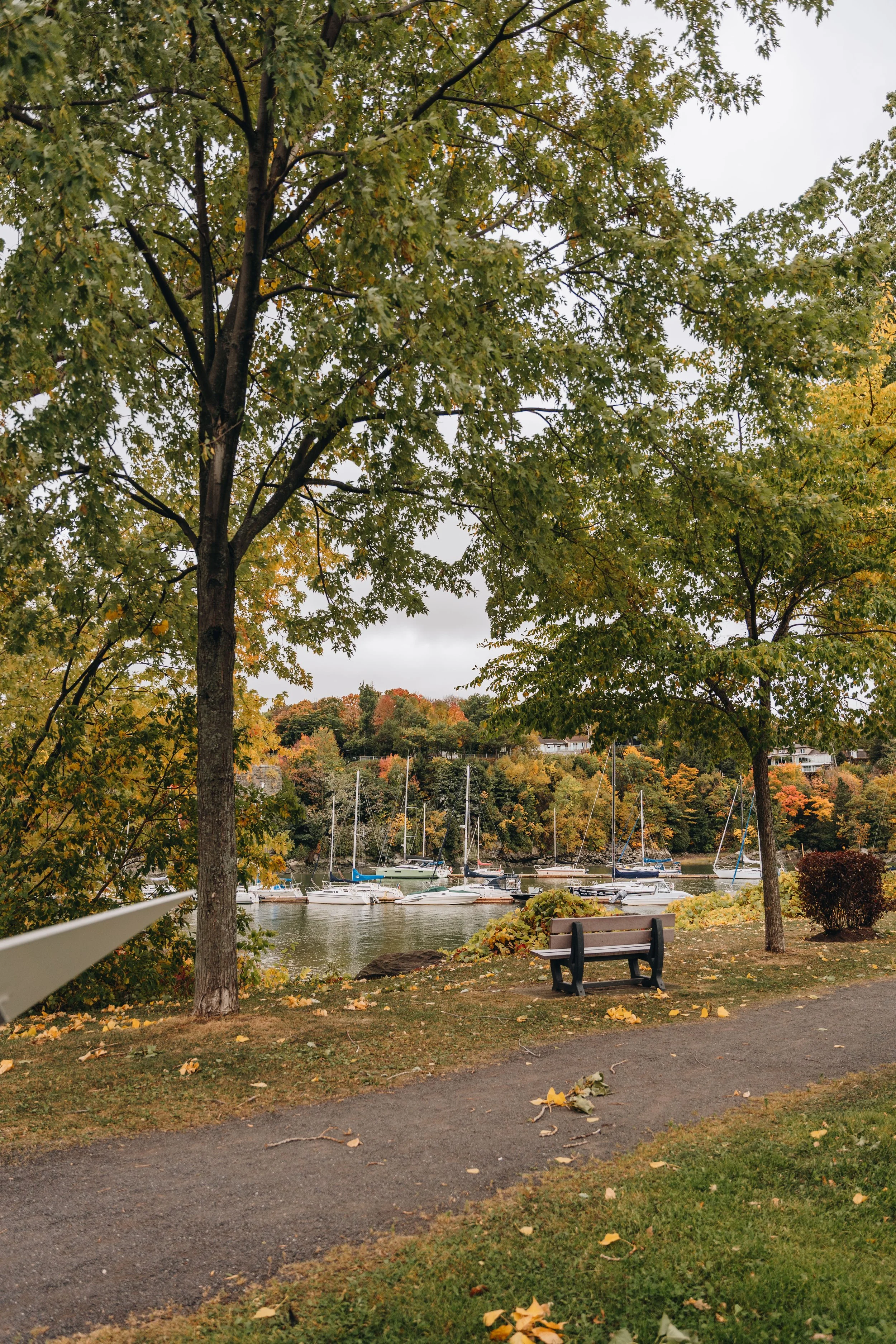 Parc Michel-L’Hebreux : Marina de la Chaudière 17.jpg