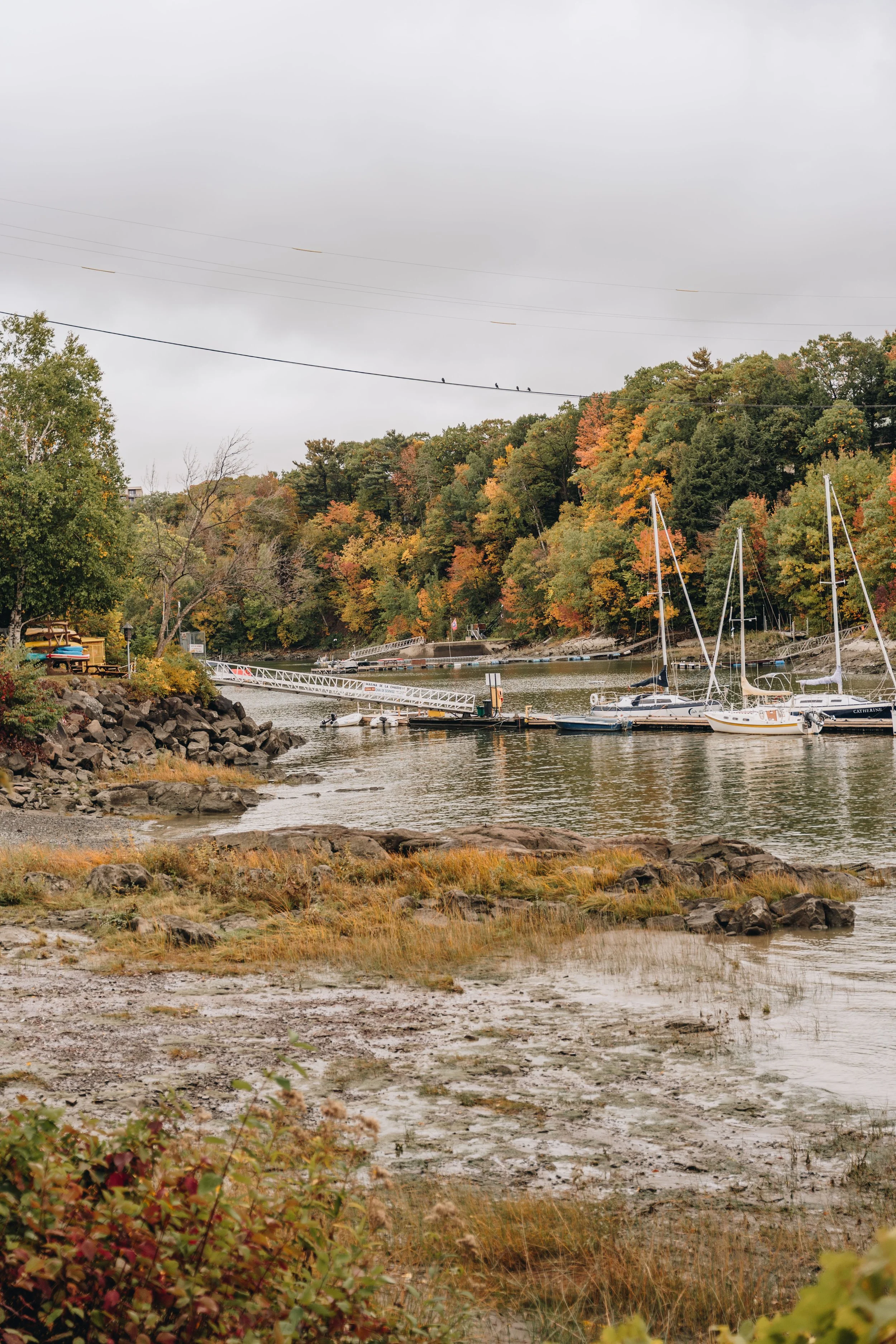 Parc Michel-L’Hebreux : Marina de la Chaudière 56.jpg