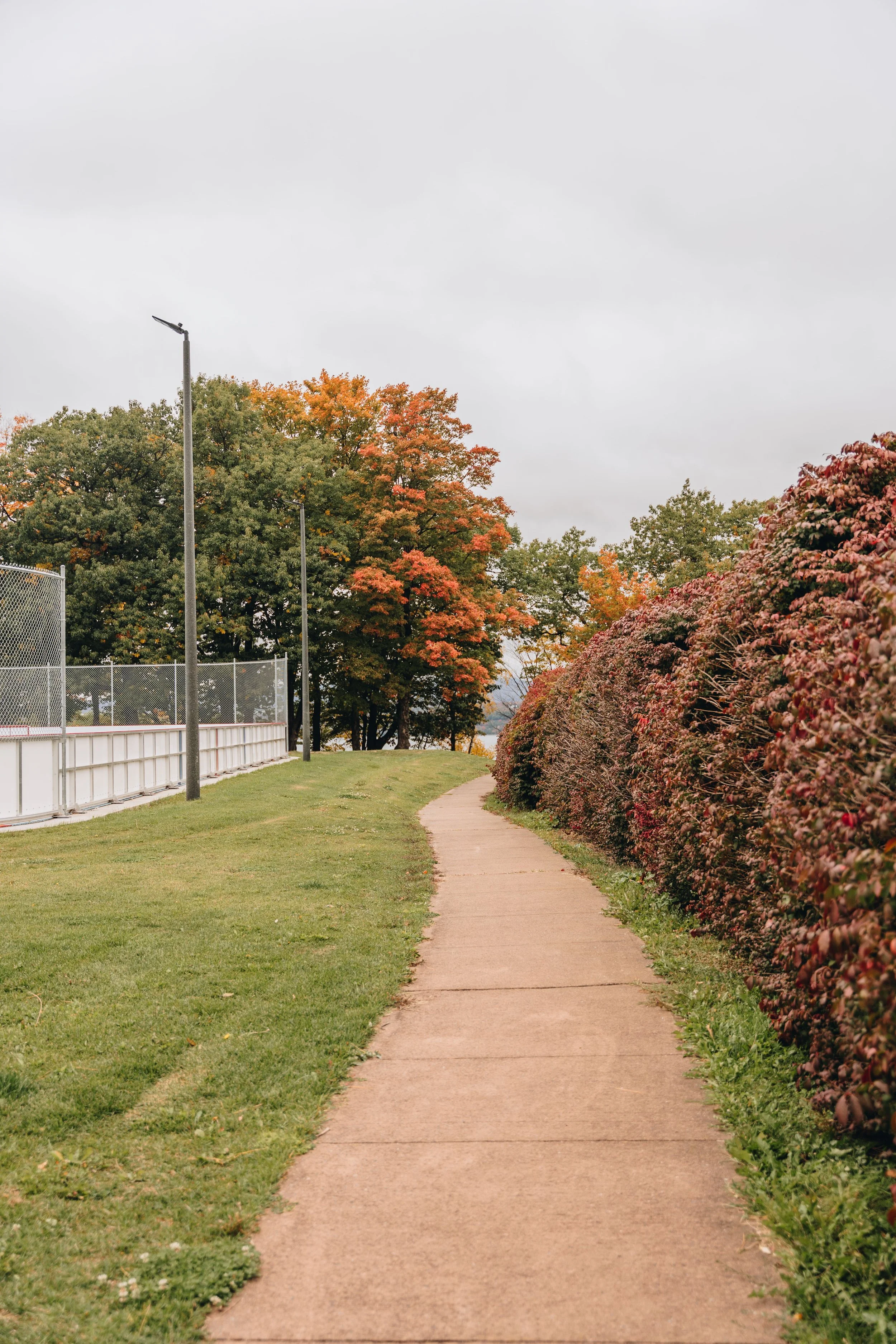 Parc Jean-Dumets chien onvasepromewner 2.jpg
