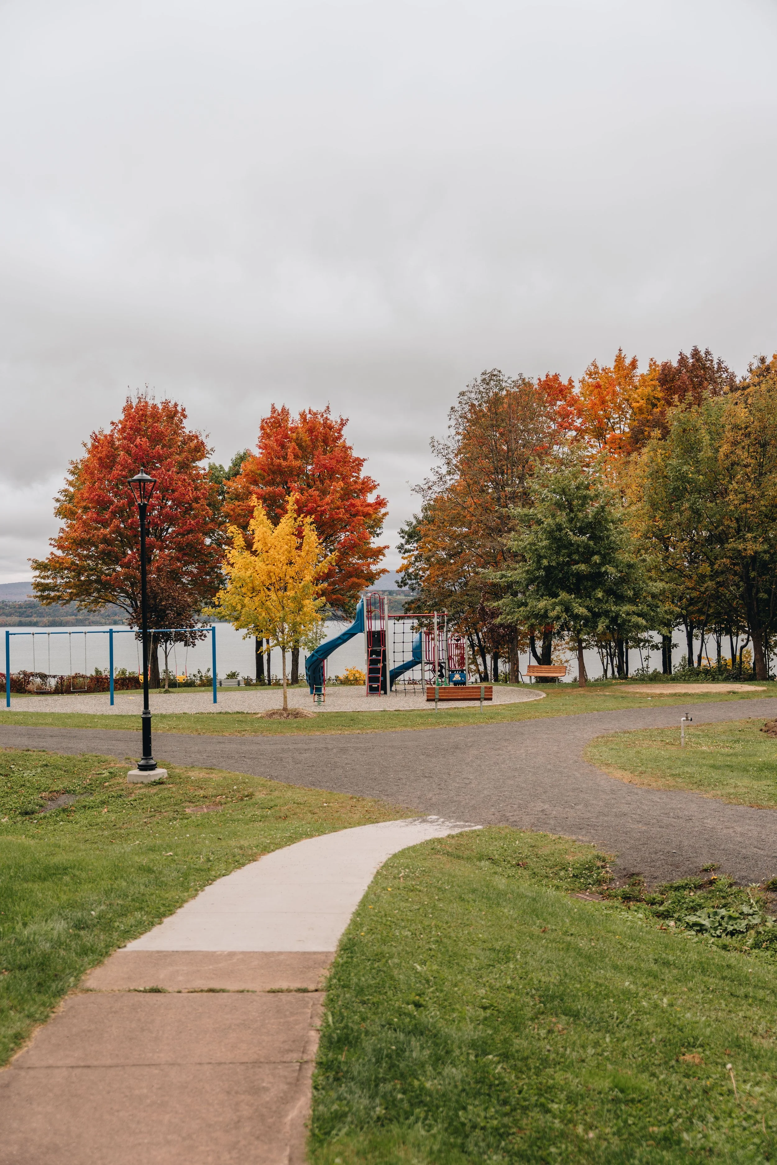 Parc Jean-Dumets chien onvasepromewner 35.jpg