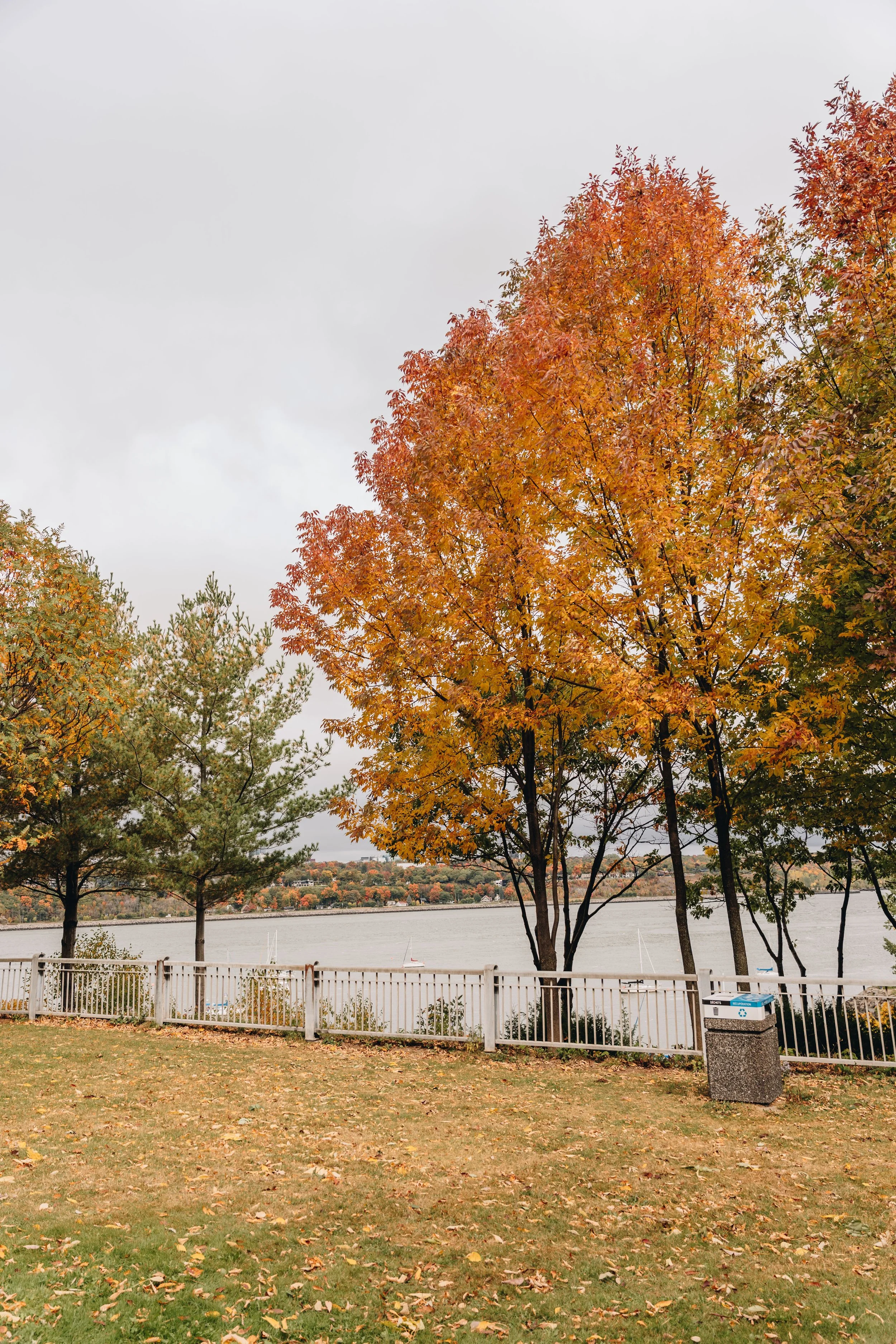 Parc du Pont-Garneau chien onvasepromener 5.jpg