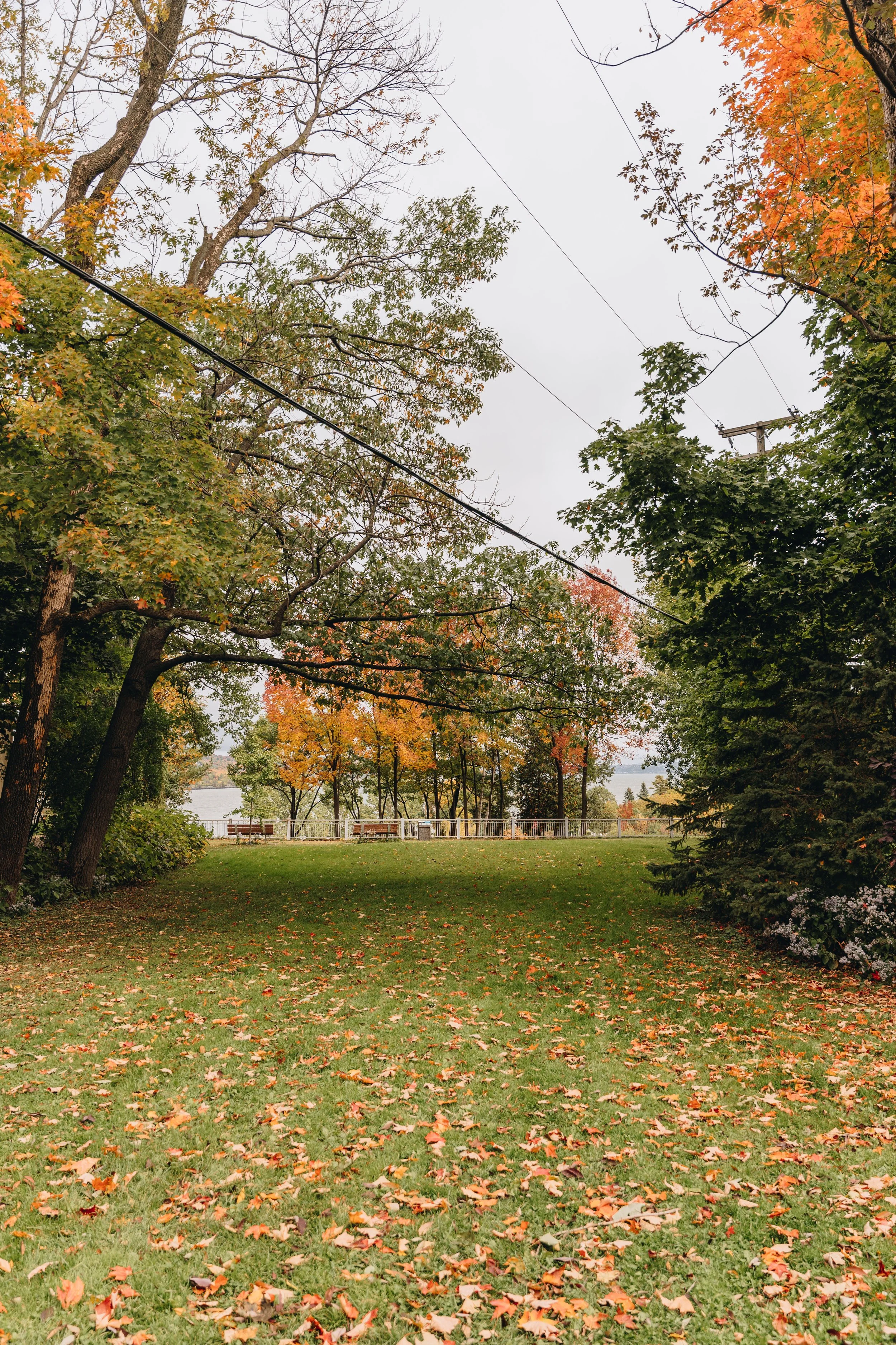 Parc du Pont-Garneau chien onvasepromener 2.jpg