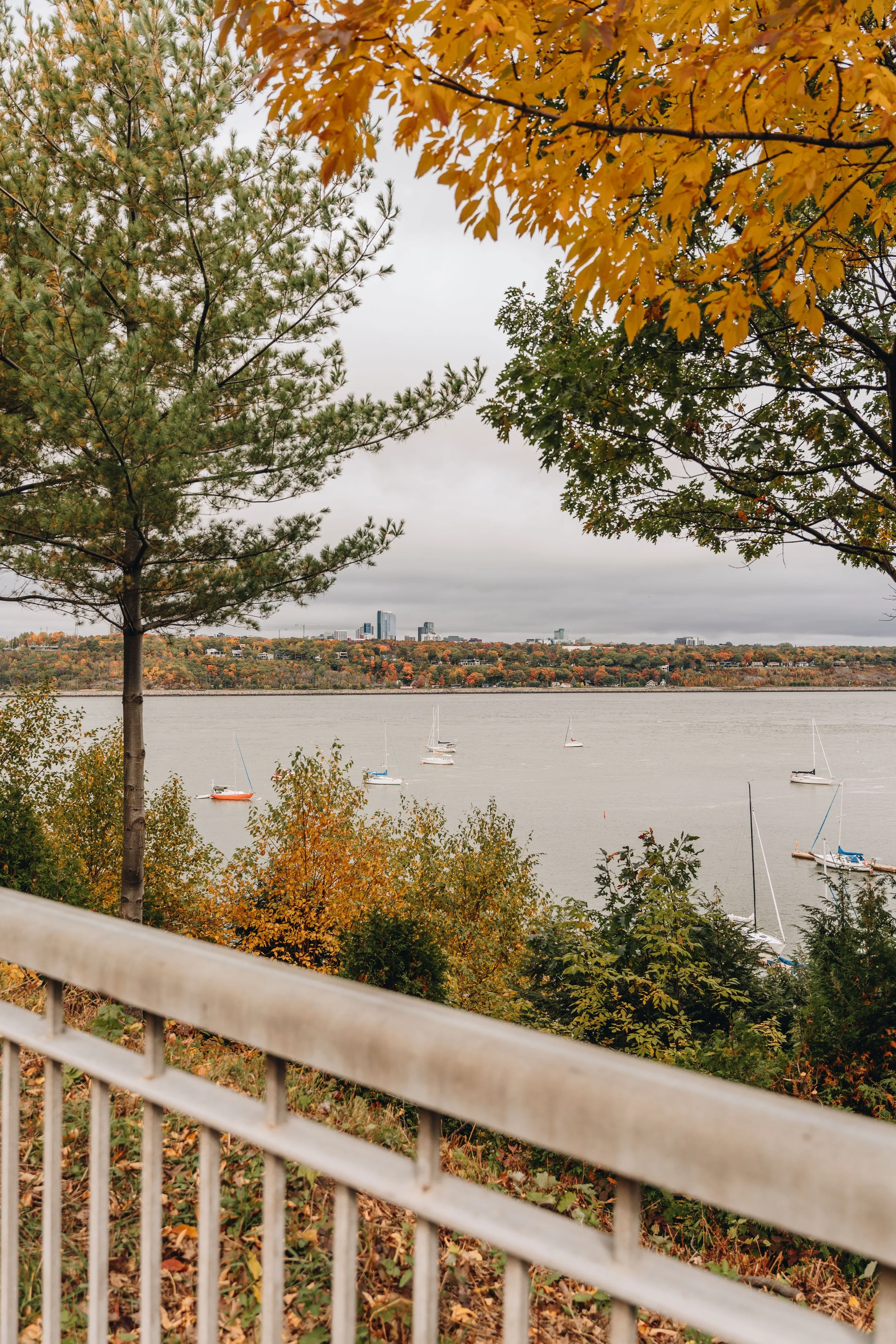 Parc du Pont-Garneau chien onvasepromener 8.jpg