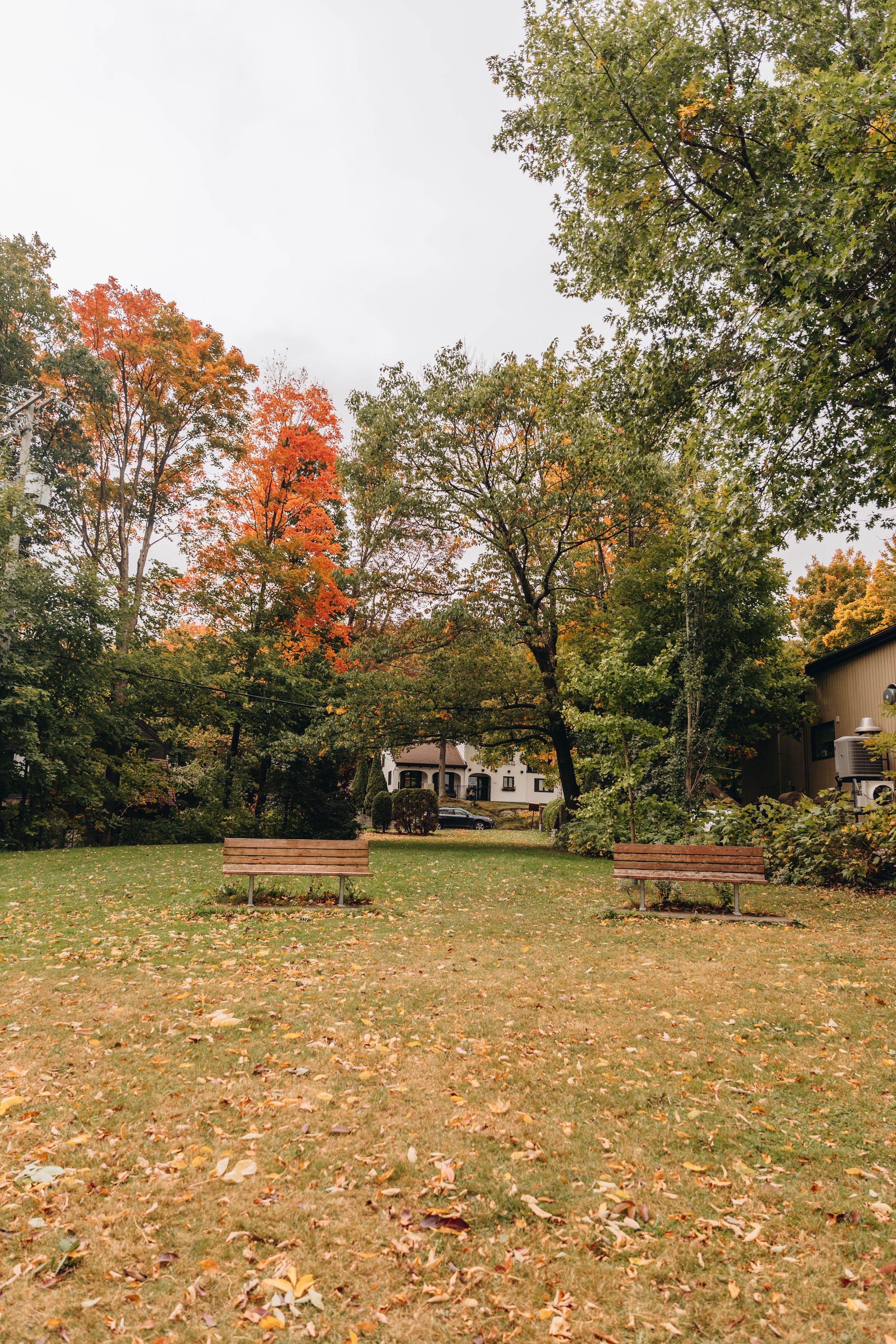 Parc du Pont-Garneau chien onvasepromener 14.jpg